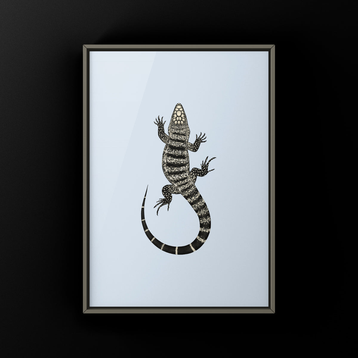 Argentine Black and White Tegu Art Print (Salvator merianae)