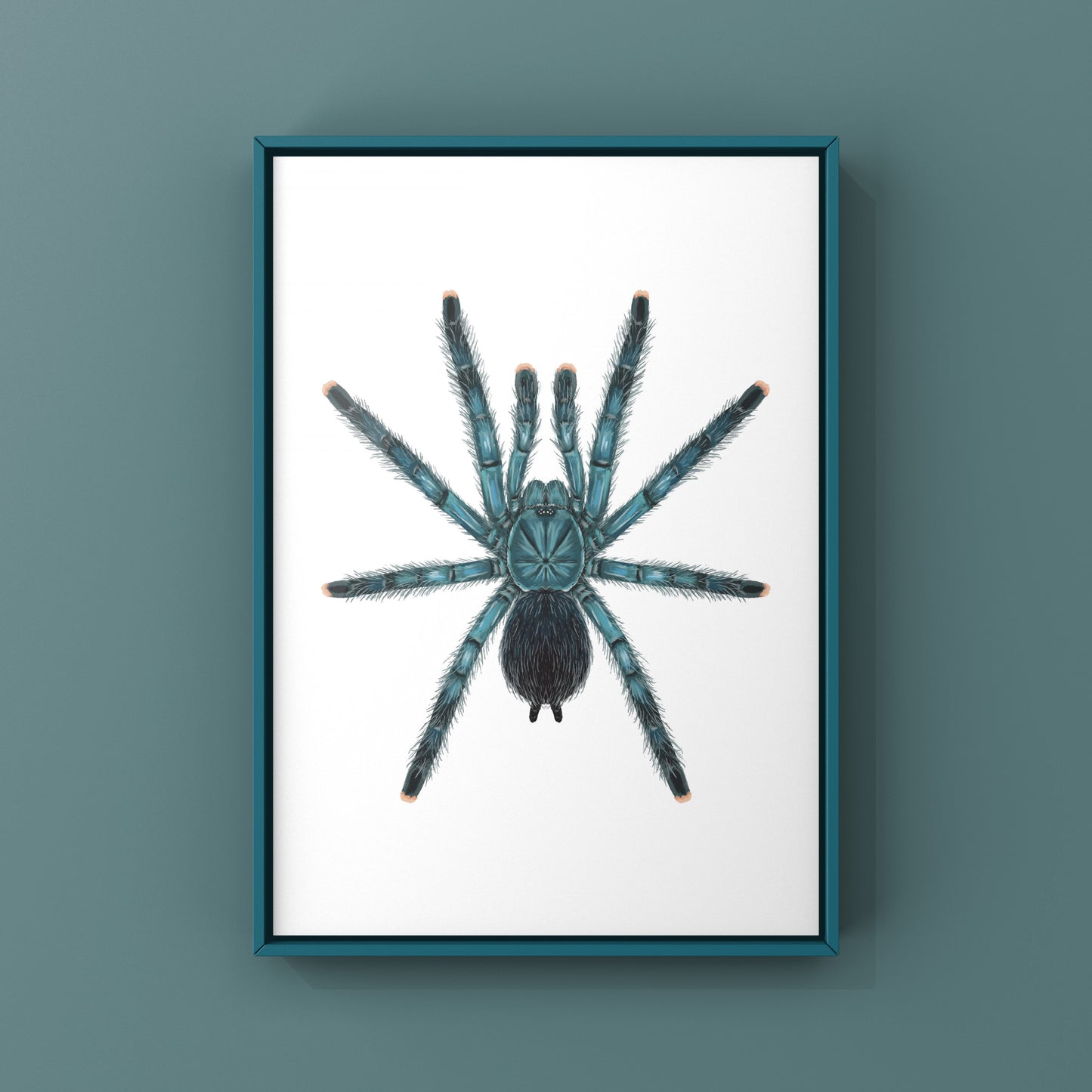 Blue Green Pinktoe Tarantula (Avicularia geroldi) Art Print