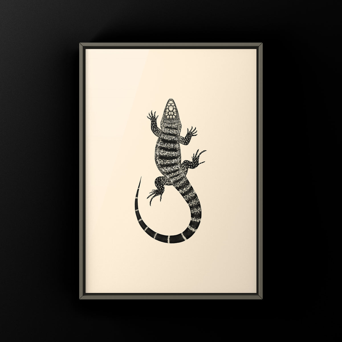 Argentine Black and White Tegu Art Print (Salvator merianae)