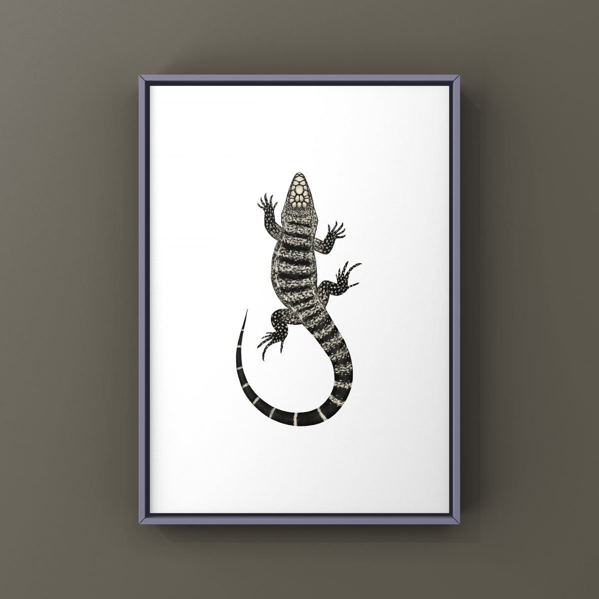 Argentine Black and White Tegu Art Print (Salvator merianae)