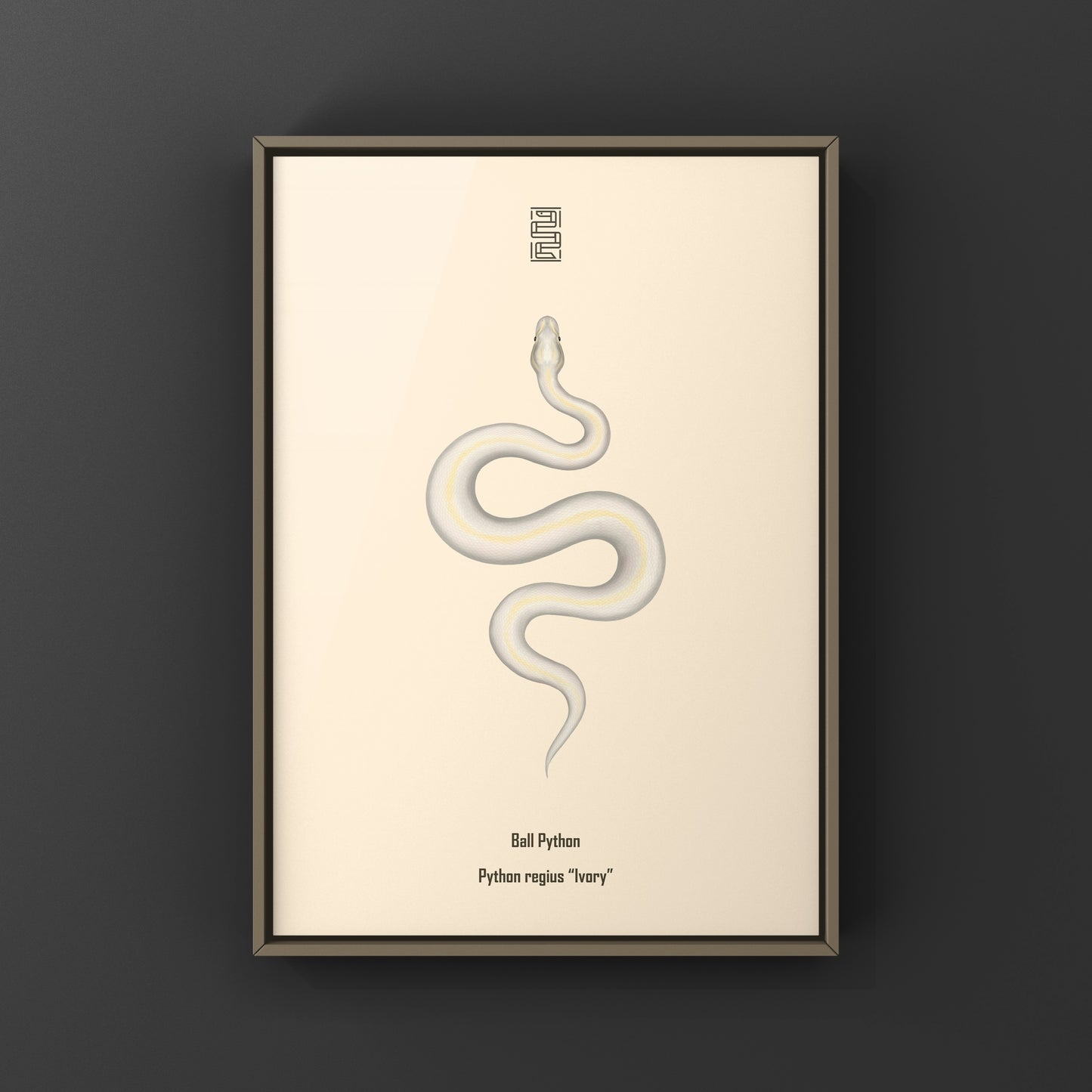 Ivory Ball Python Art Print from The Silk Ranch