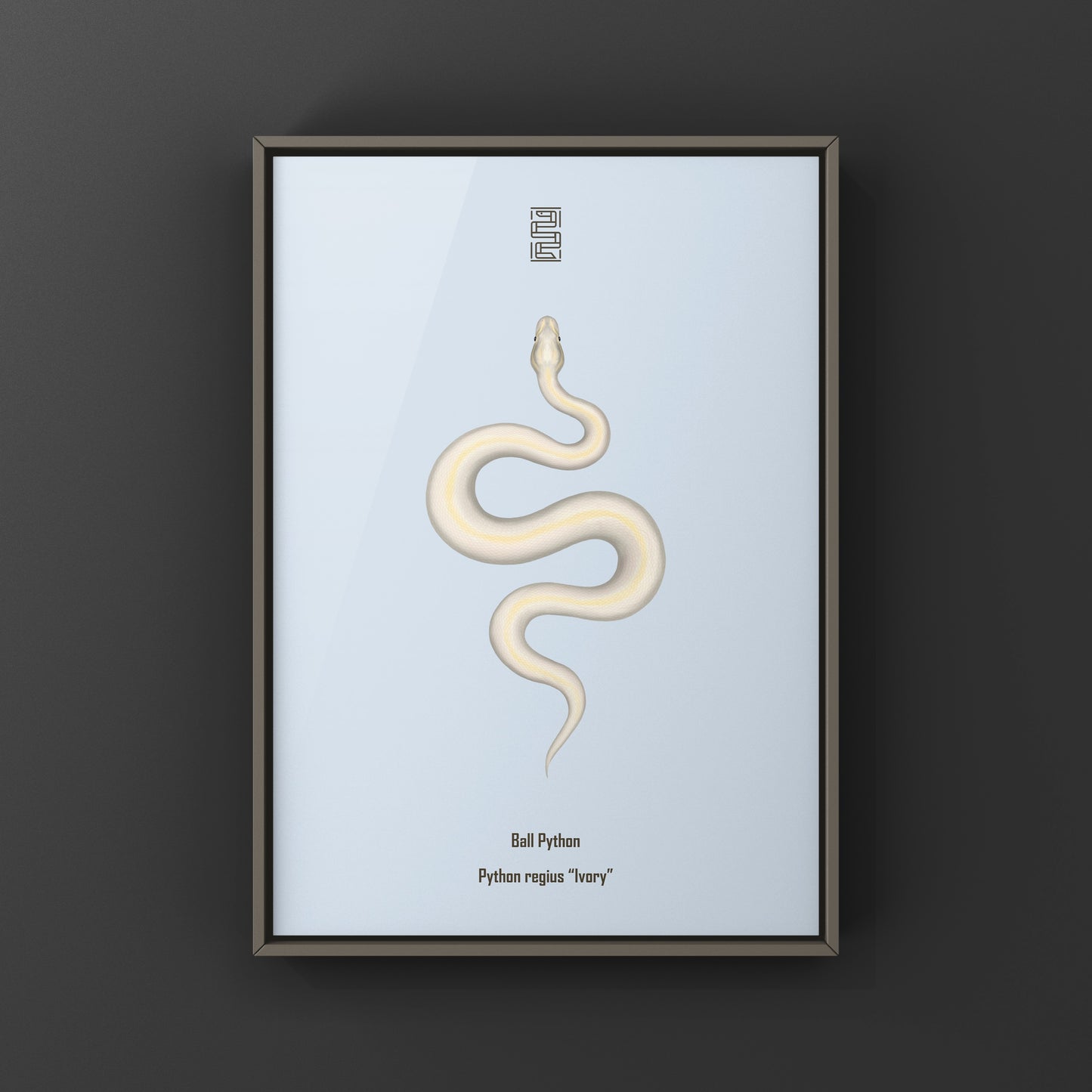 Ivory Ball Python Art Print from The Silk Ranch