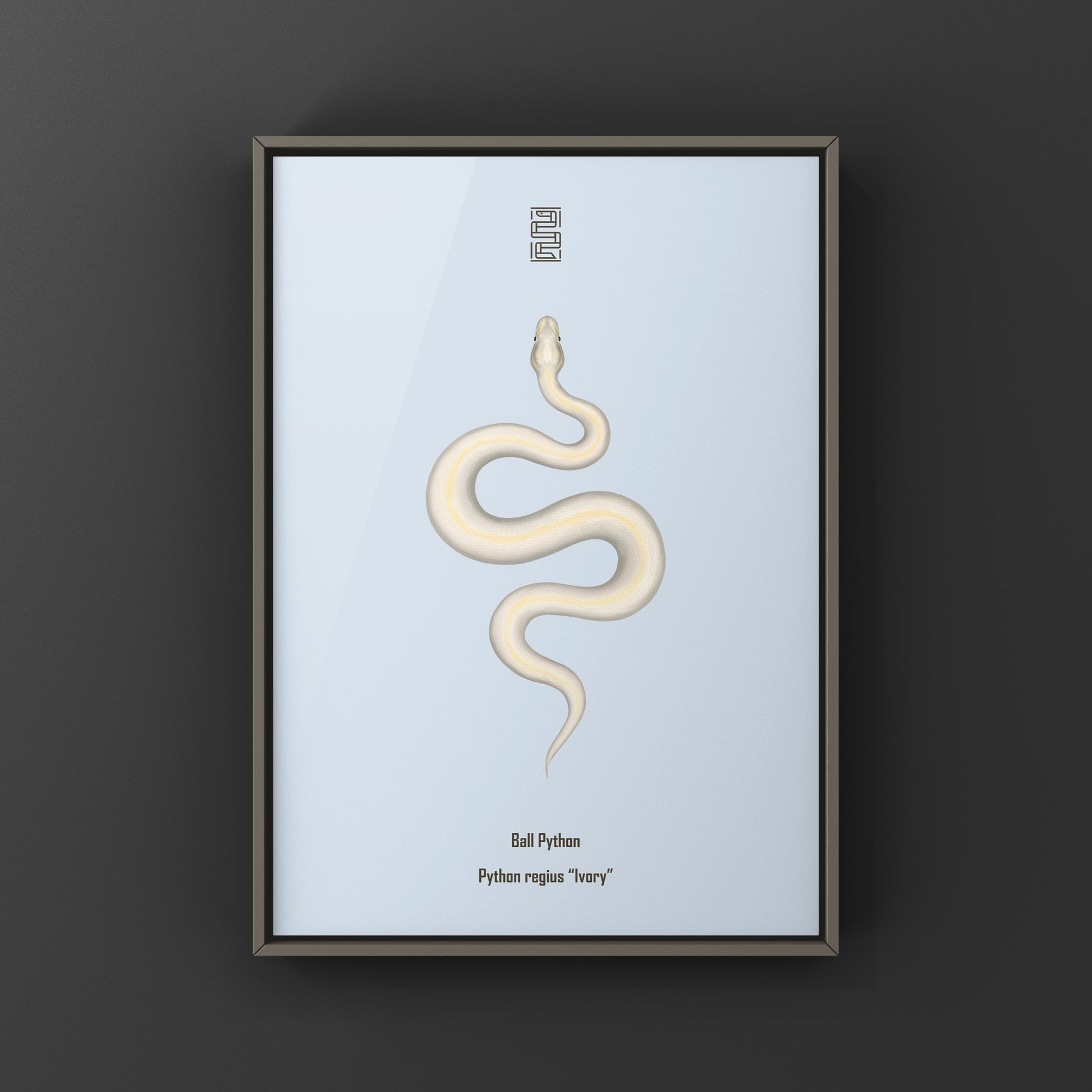 Ivory Ball Python Art Print from The Silk Ranch