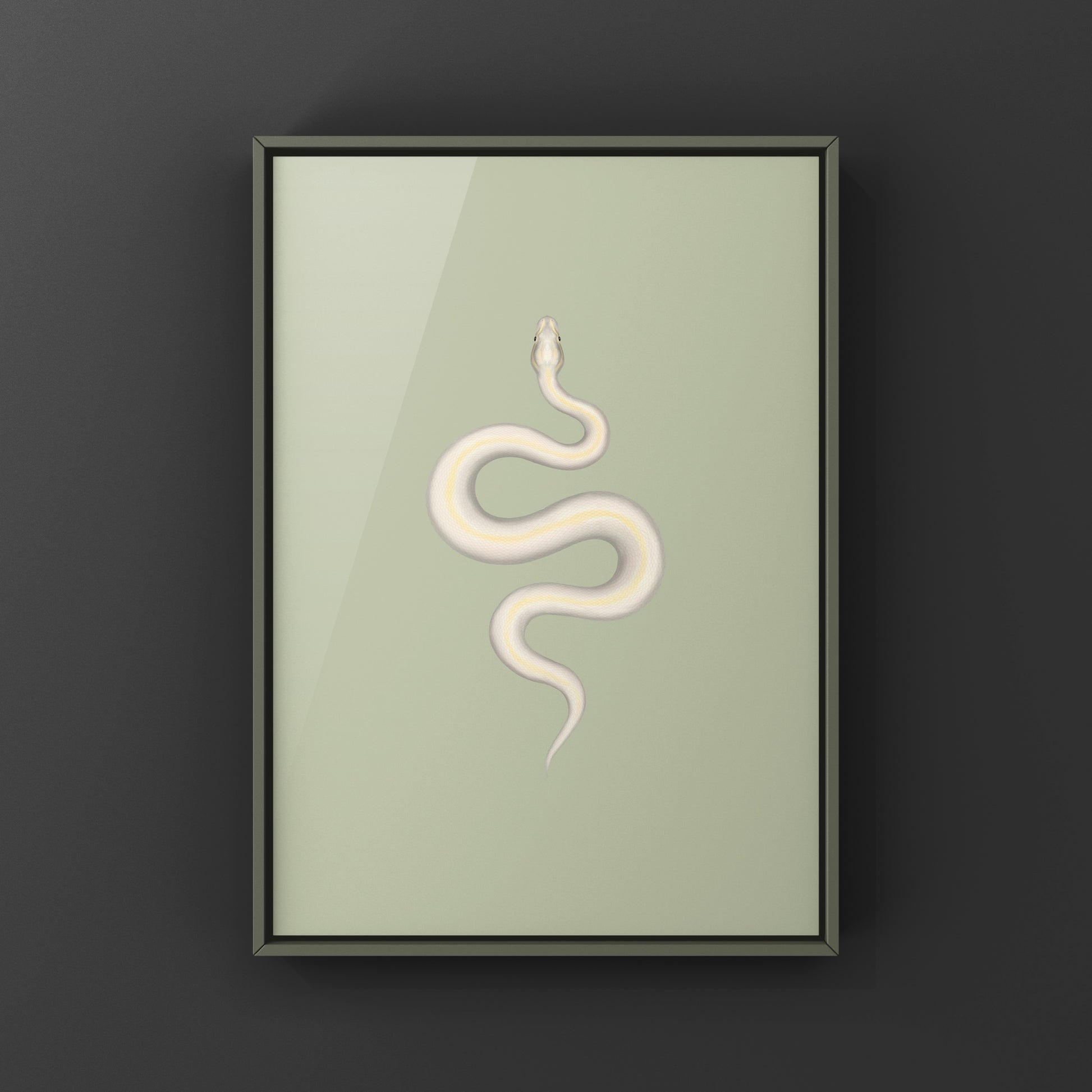 Ivory Ball Python Art Print from The Silk Ranch