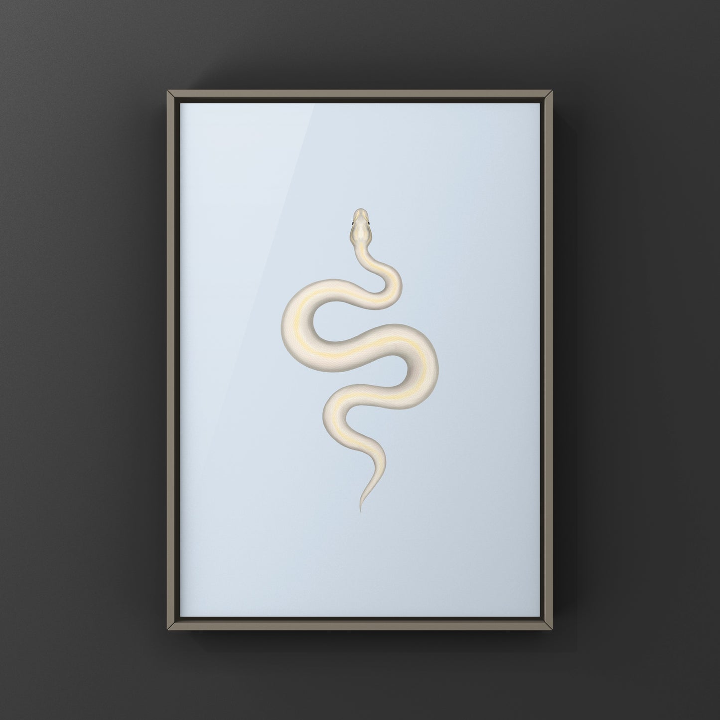 Ivory Ball Python Art Print from The Silk Ranch