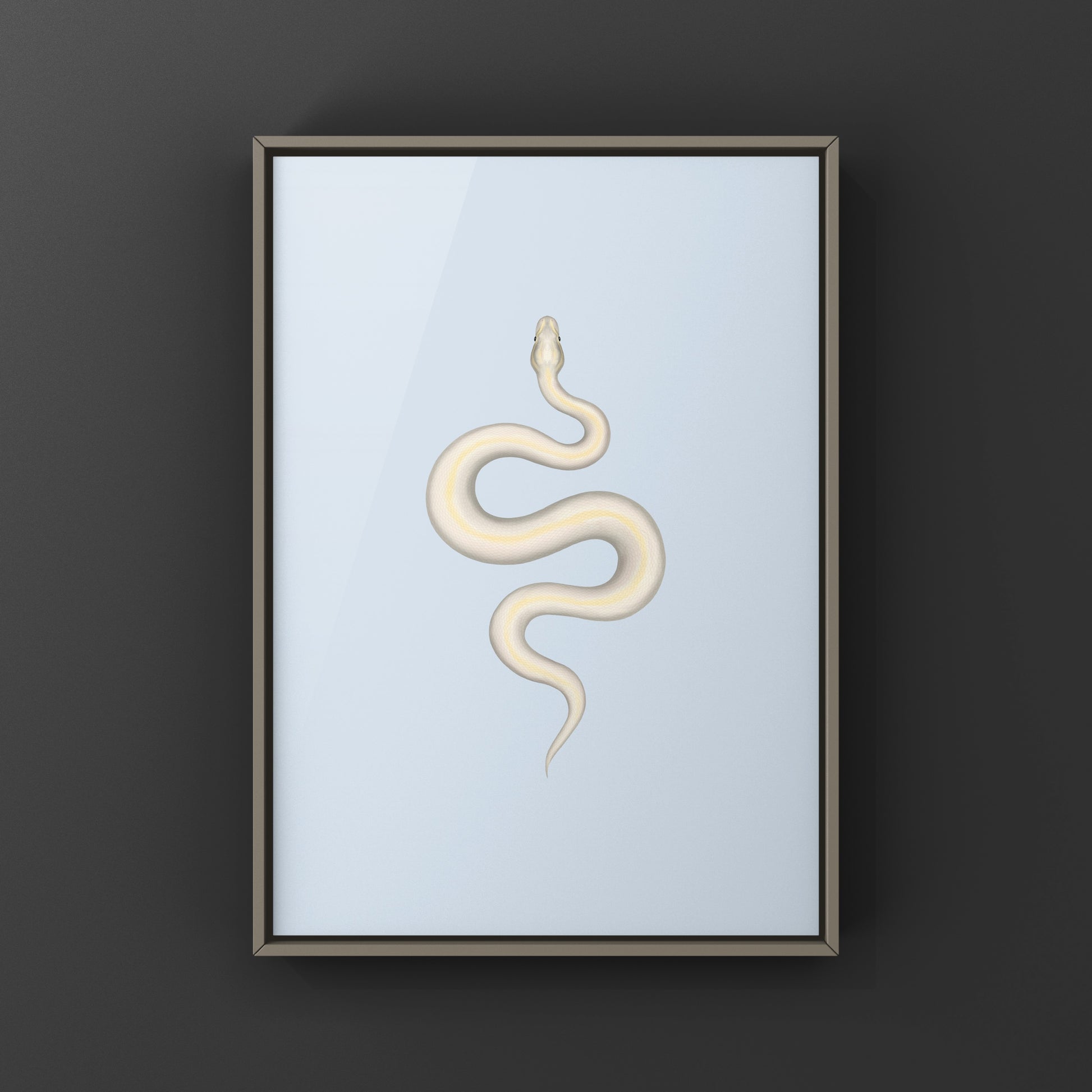 Ivory Ball Python Art Print from The Silk Ranch