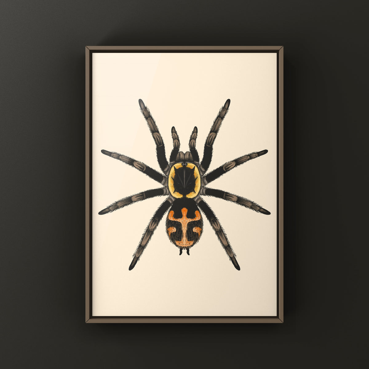 Butantan tarantula art print by The Silk Ranch featuring detailed illustration of Jambu butantan arachnid on textured paper