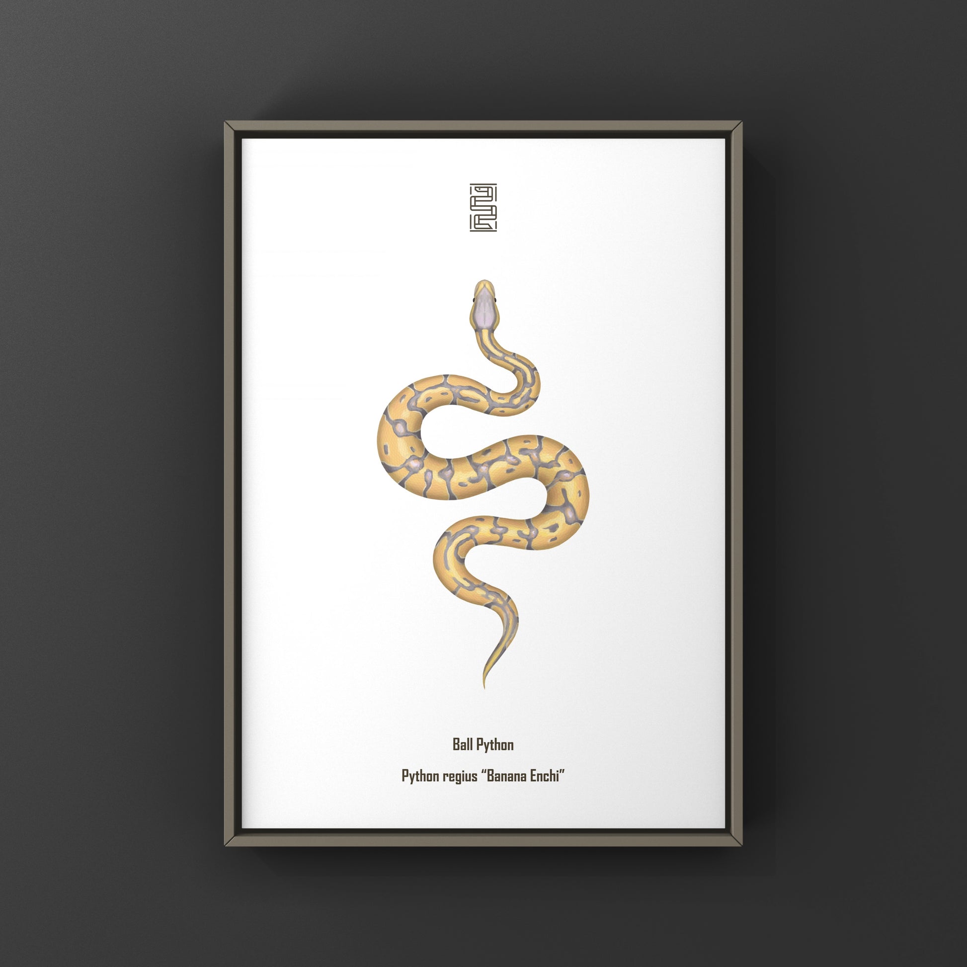 Banana Enchi Ball Python Art Print from The Silk Ranch