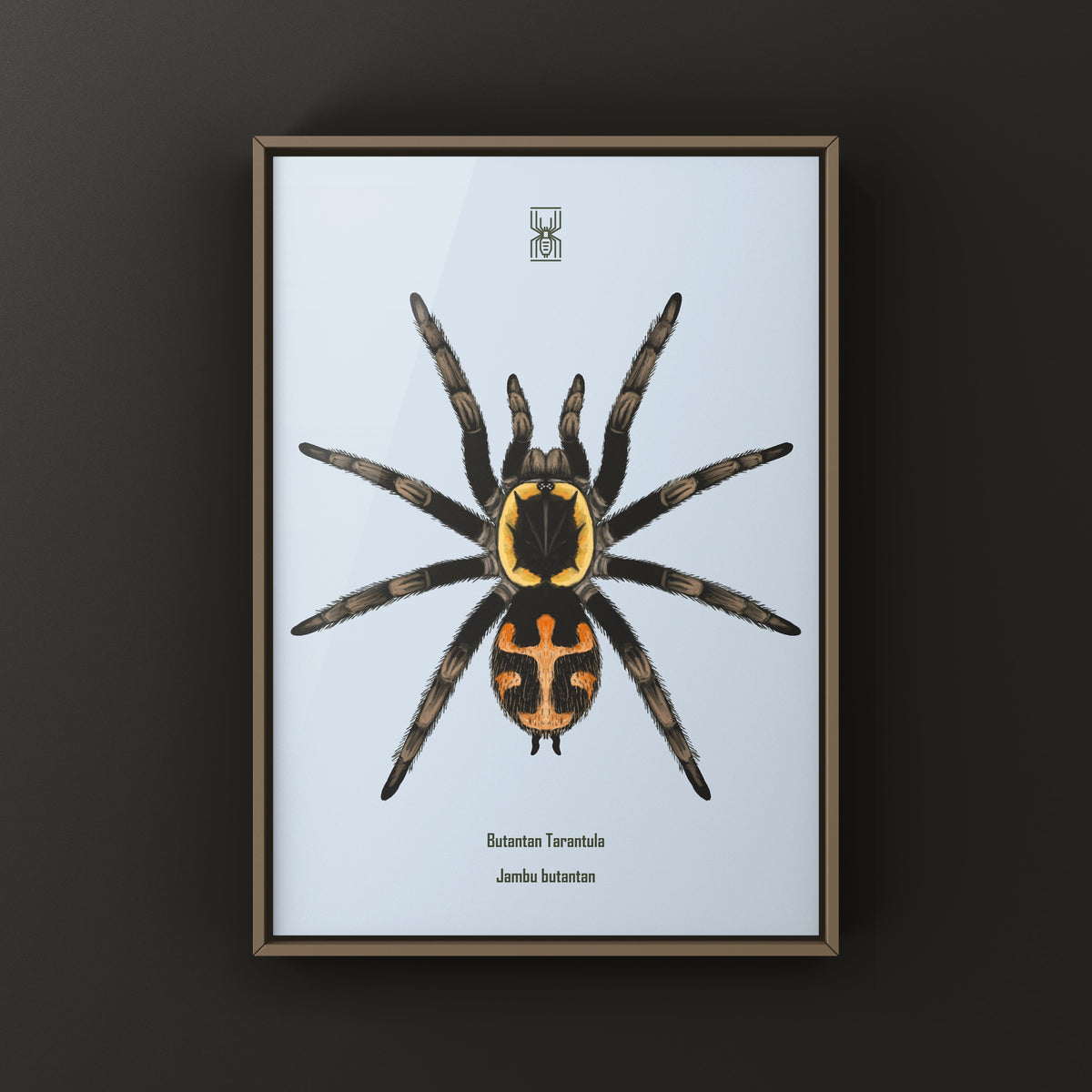 Colorful art print of a Jambu Butantan tarantula by The Silk Ranch, showcasing detailed spider illustrations on textured paper.