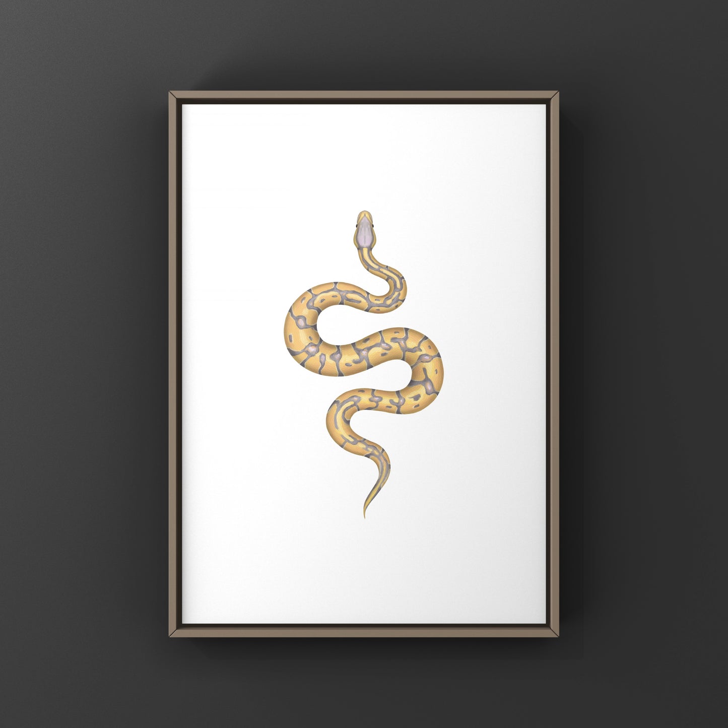 Banana Enchi Ball Python Art Print from The Silk Ranch