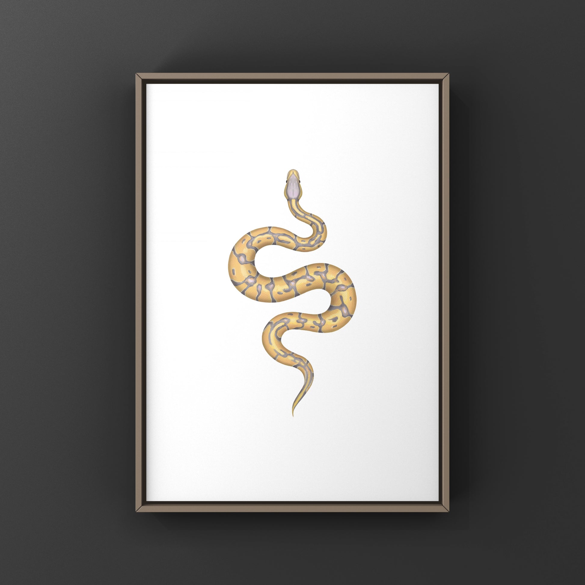 Banana Enchi Ball Python Art Print from The Silk Ranch