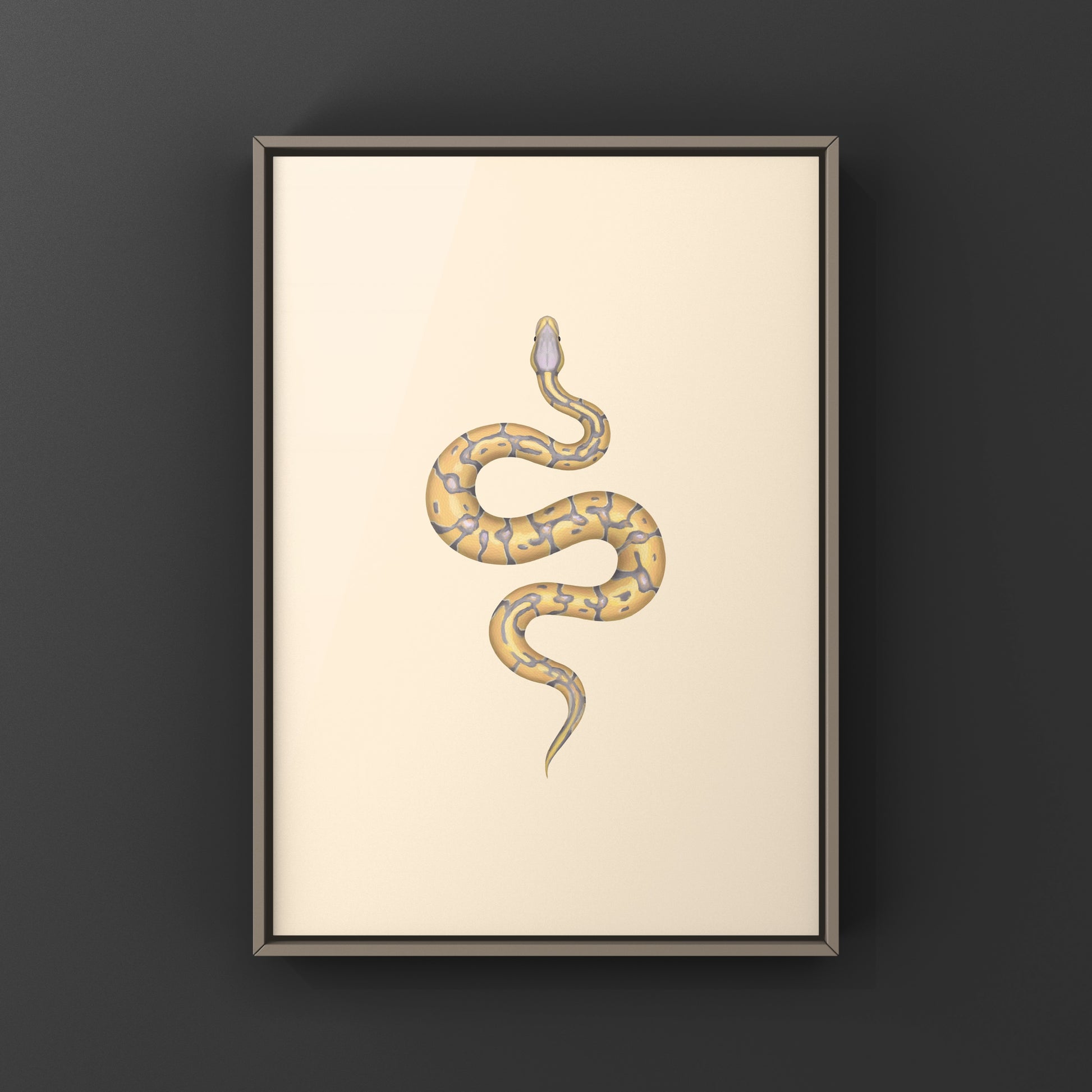 Banana Enchi Ball Python Art Print from The Silk Ranch