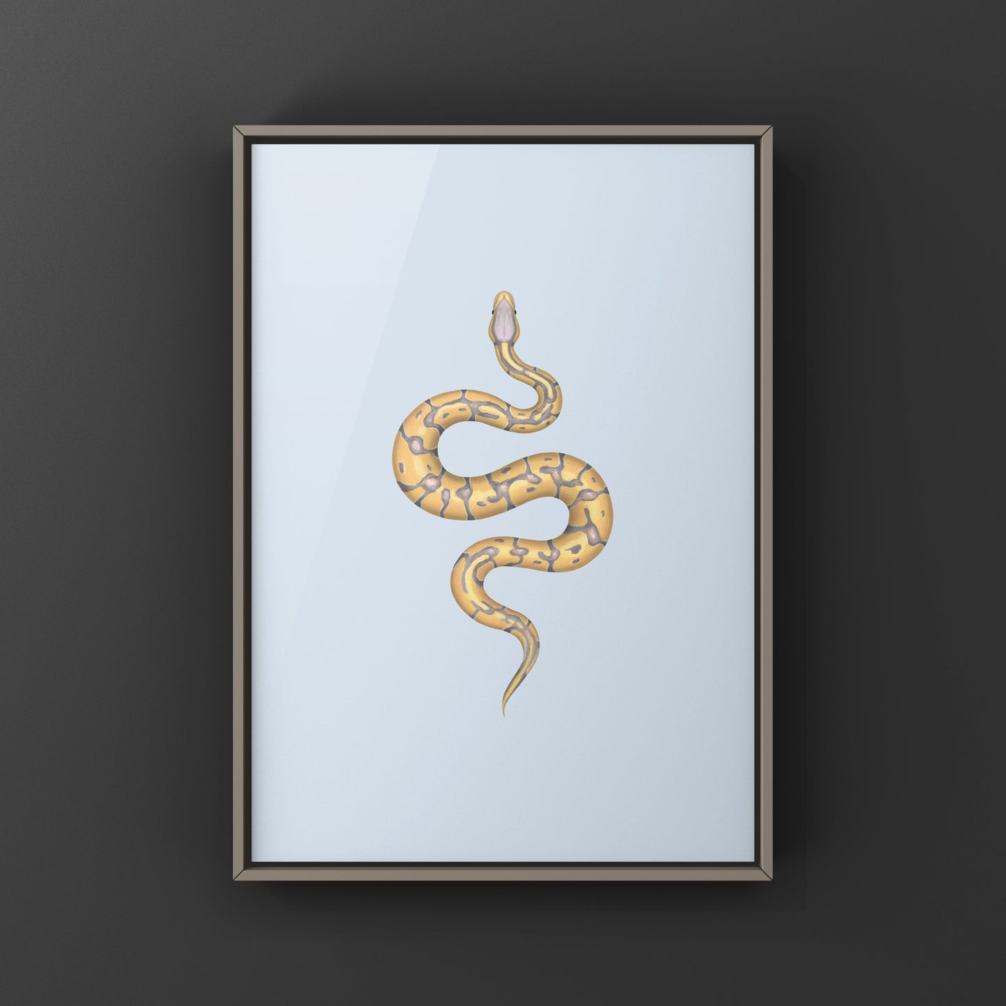 Banana Enchi Ball Python Art Print from The Silk Ranch