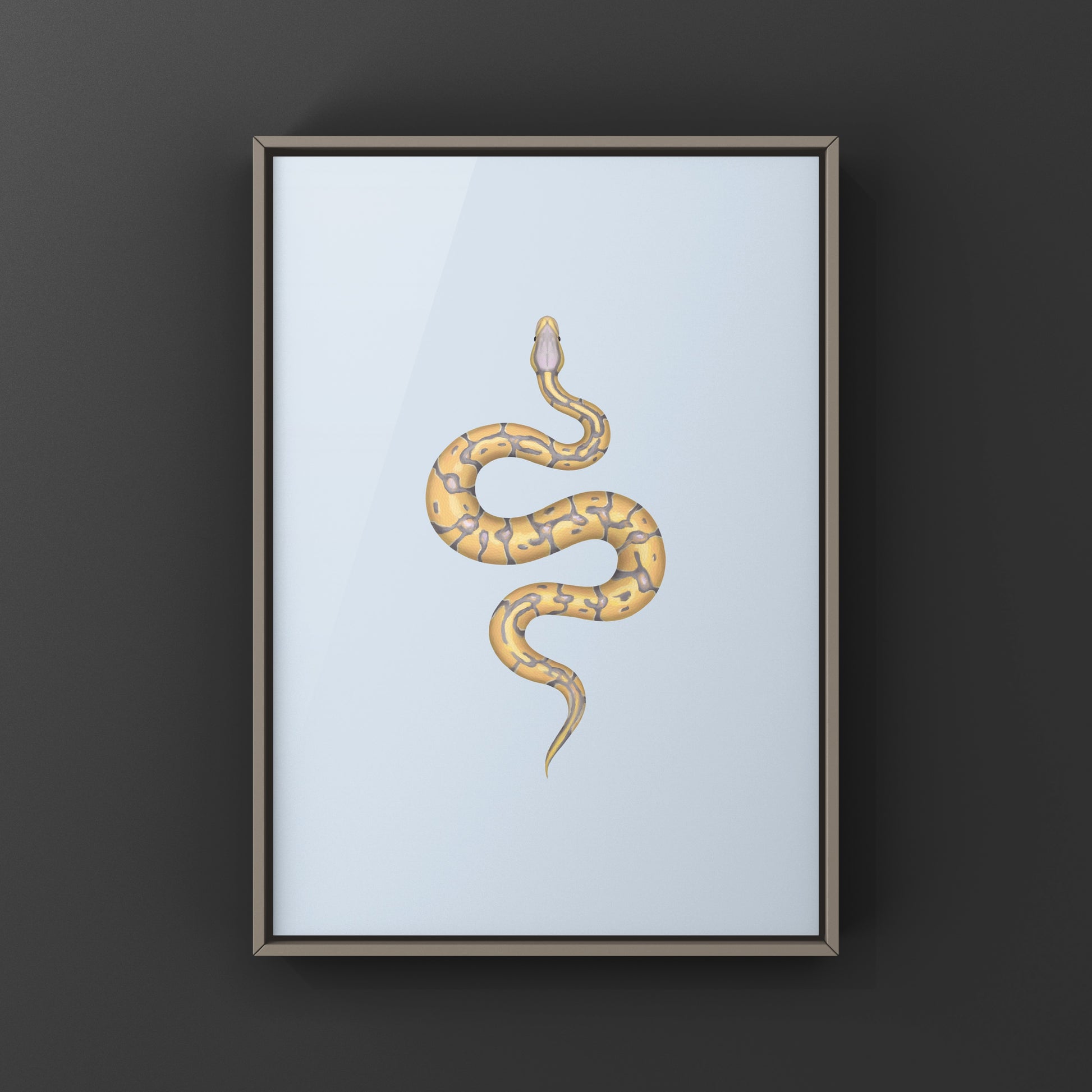Banana Enchi Ball Python Art Print from The Silk Ranch