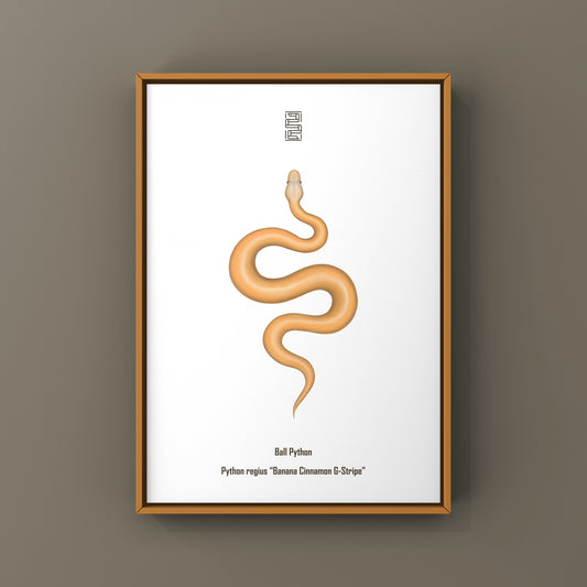 Banana Cinnamon G-Stripe Ball Python Art Print