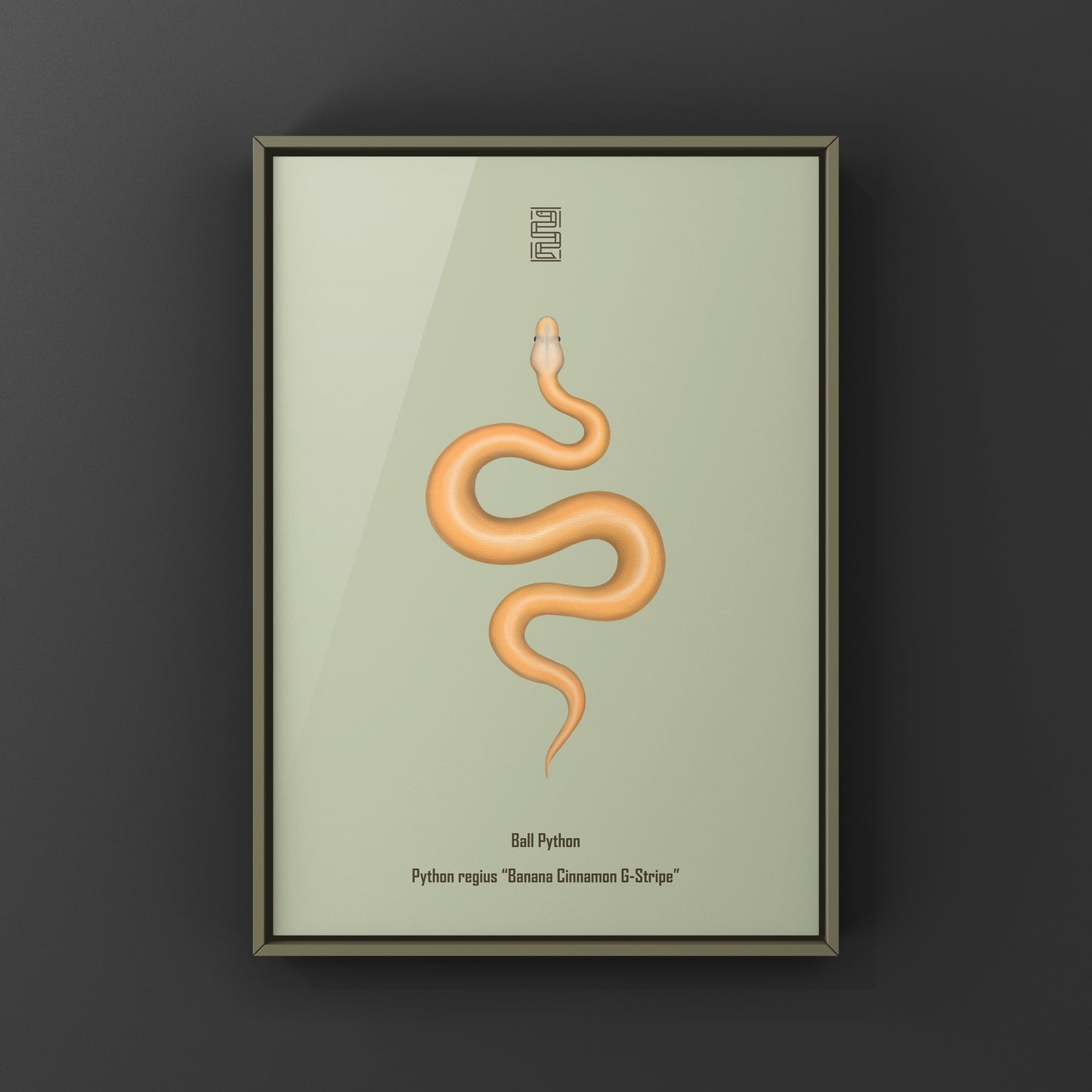 Banana Cinnamon G-Stripe Ball Python Art Print