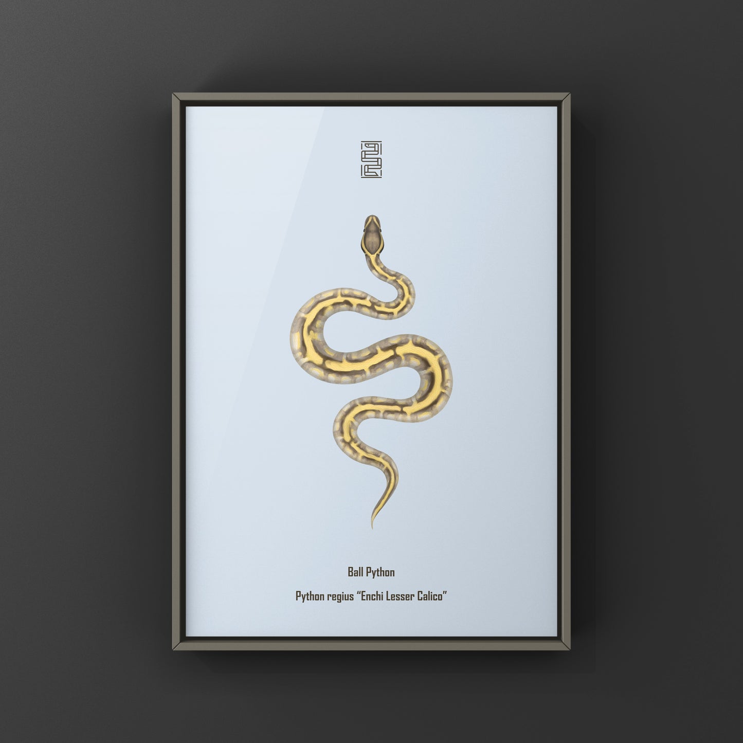 Enchi Lesser Calico Ball Python Art Print from The Silk Ranch