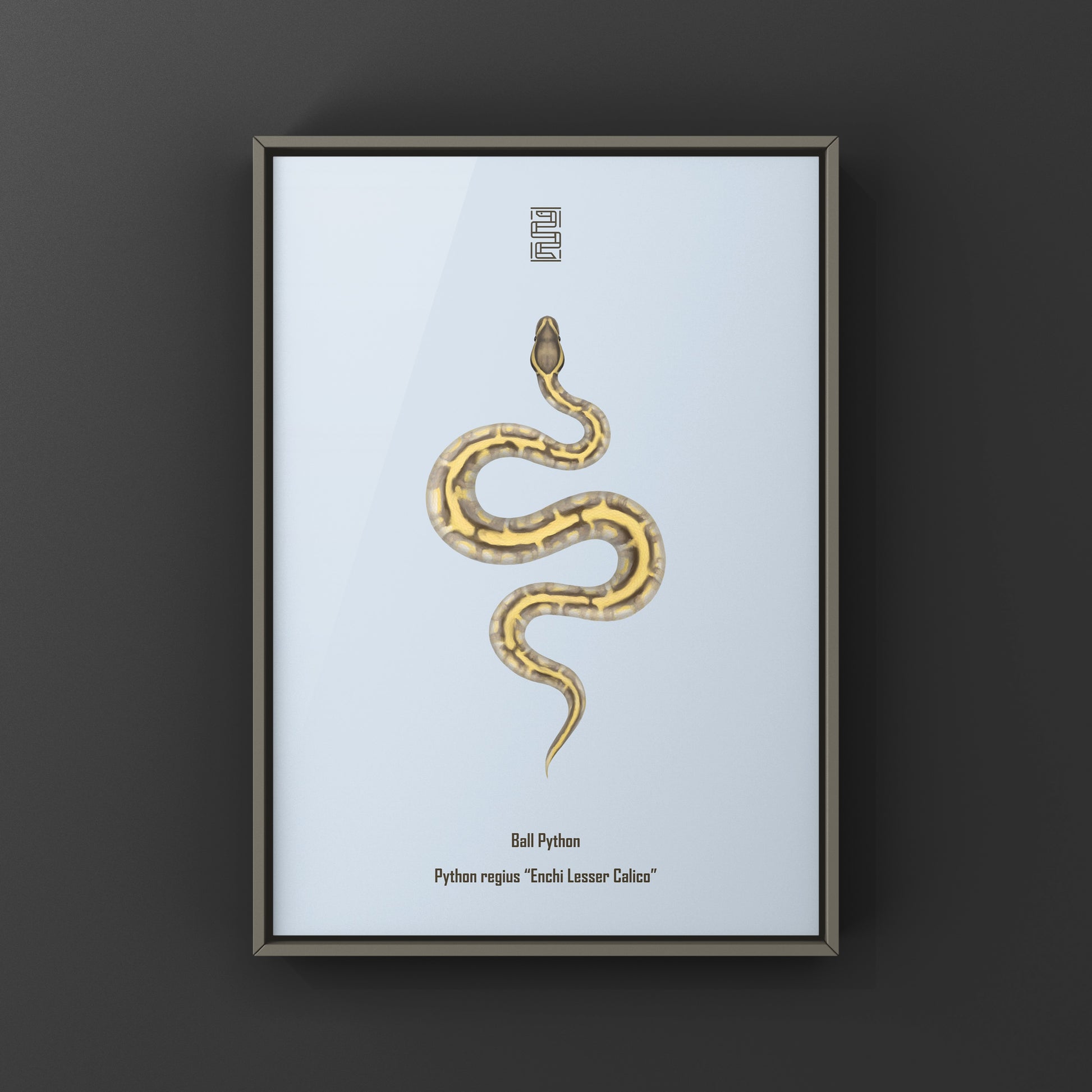 Enchi Lesser Calico Ball Python Art Print from The Silk Ranch