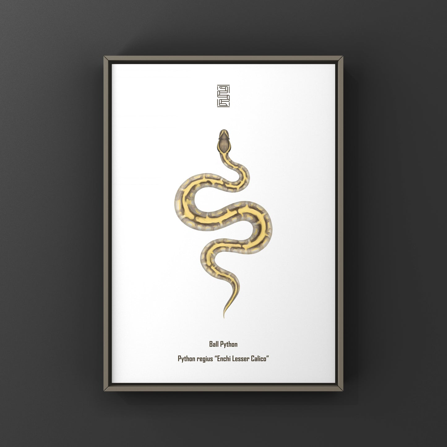 Enchi Lesser Calico Ball Python Art Print from The Silk Ranch