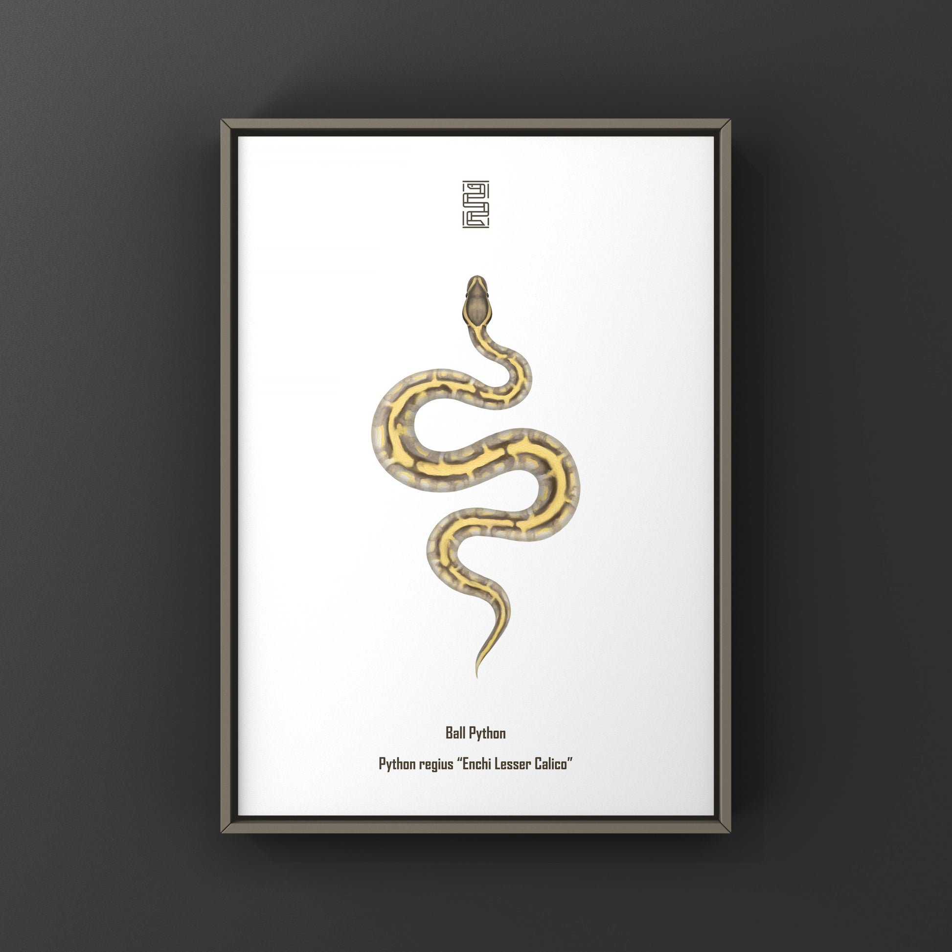 Enchi Lesser Calico Ball Python Art Print from The Silk Ranch