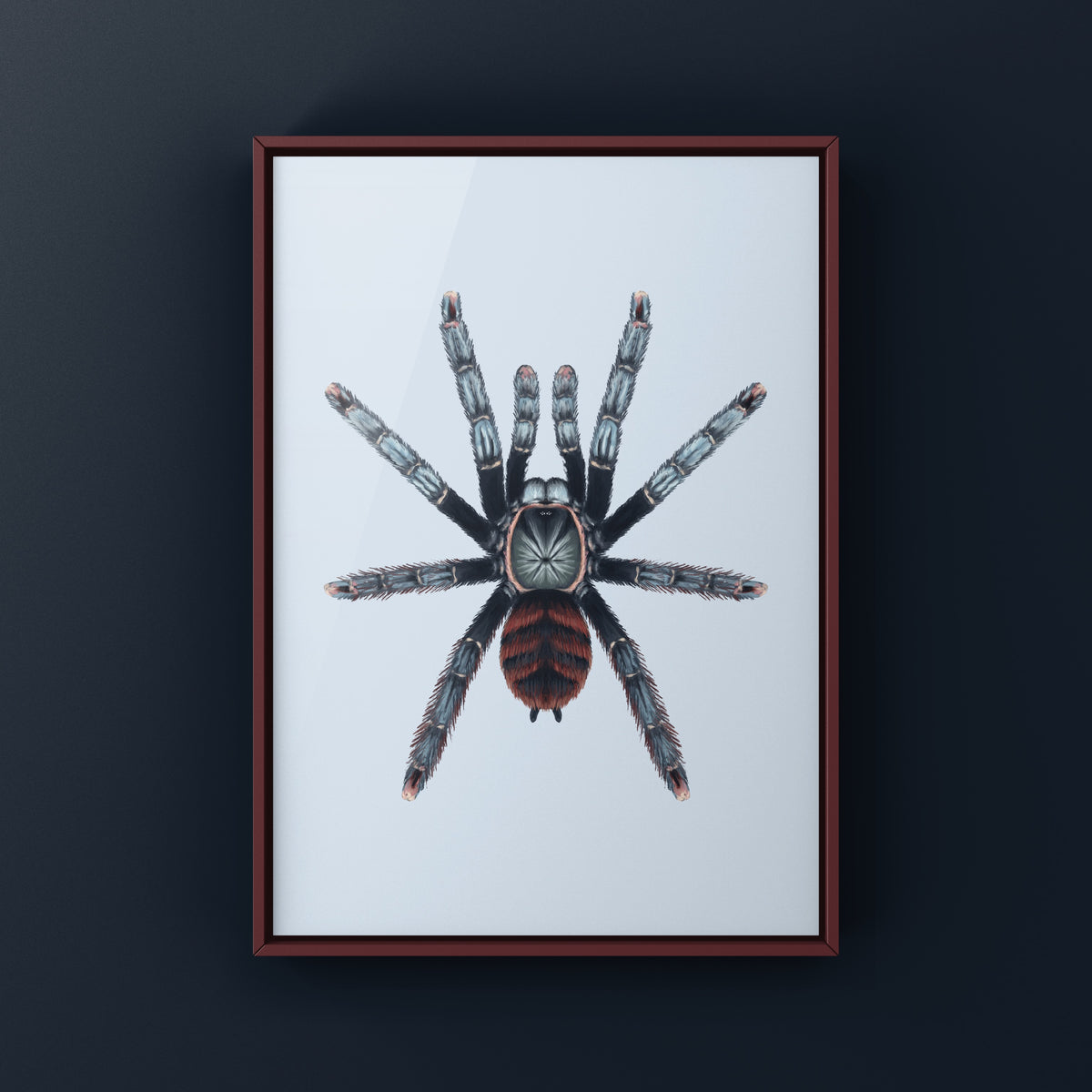 Ghost Tree Spider Art Print (Amazonius burgessi) from The Silk Ranch