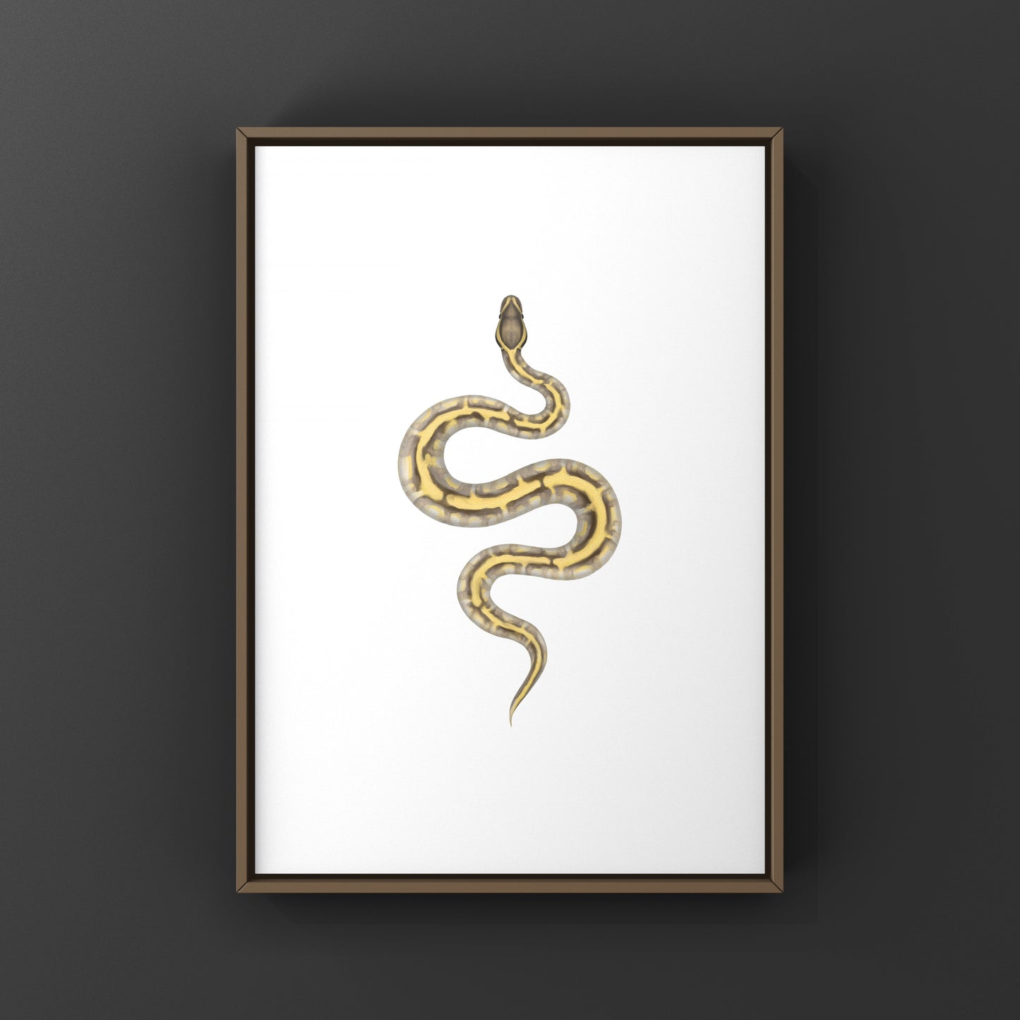 Enchi Lesser Calico Ball Python Art Print from The Silk Ranch