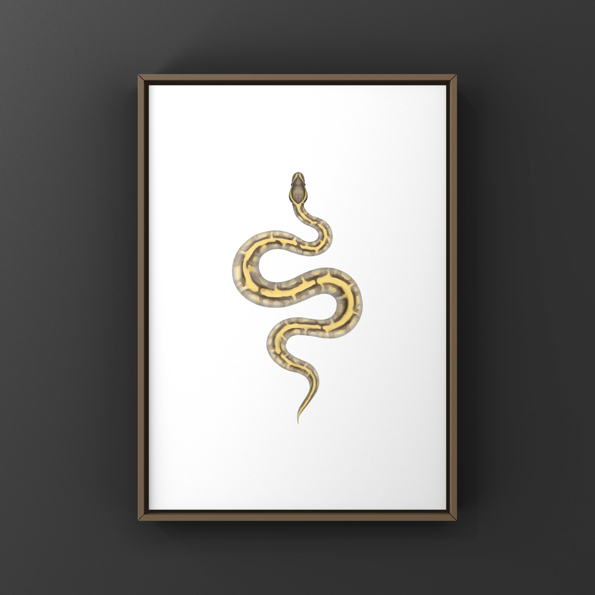 Enchi Lesser Calico Ball Python Art Print from The Silk Ranch