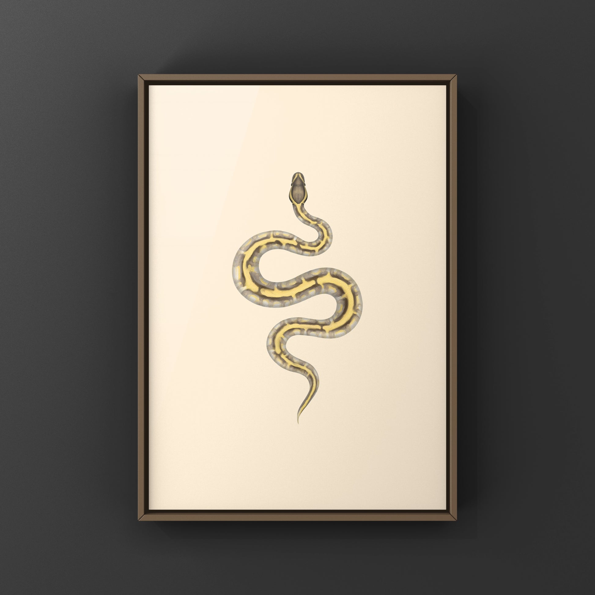 Enchi Lesser Calico Ball Python Art Print from The Silk Ranch