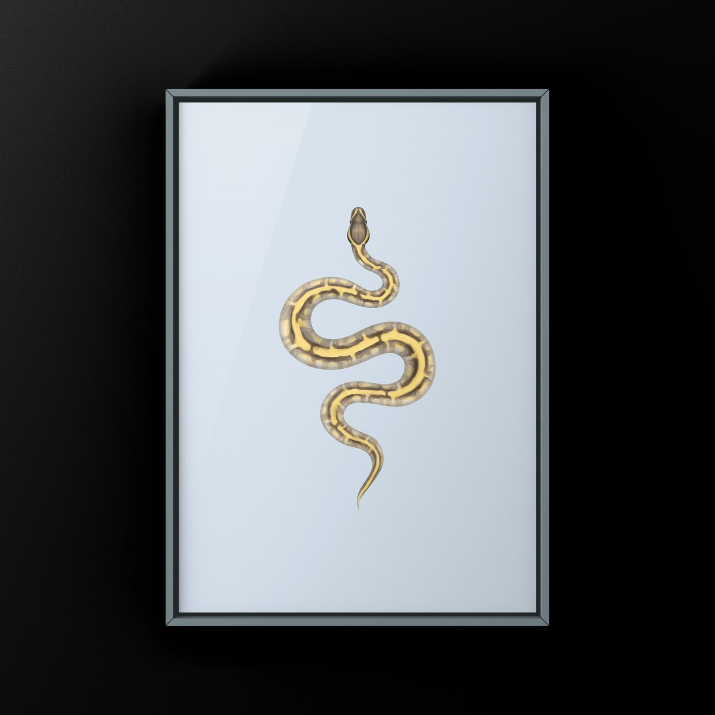 Enchi Lesser Calico Ball Python Art Print from The Silk Ranch