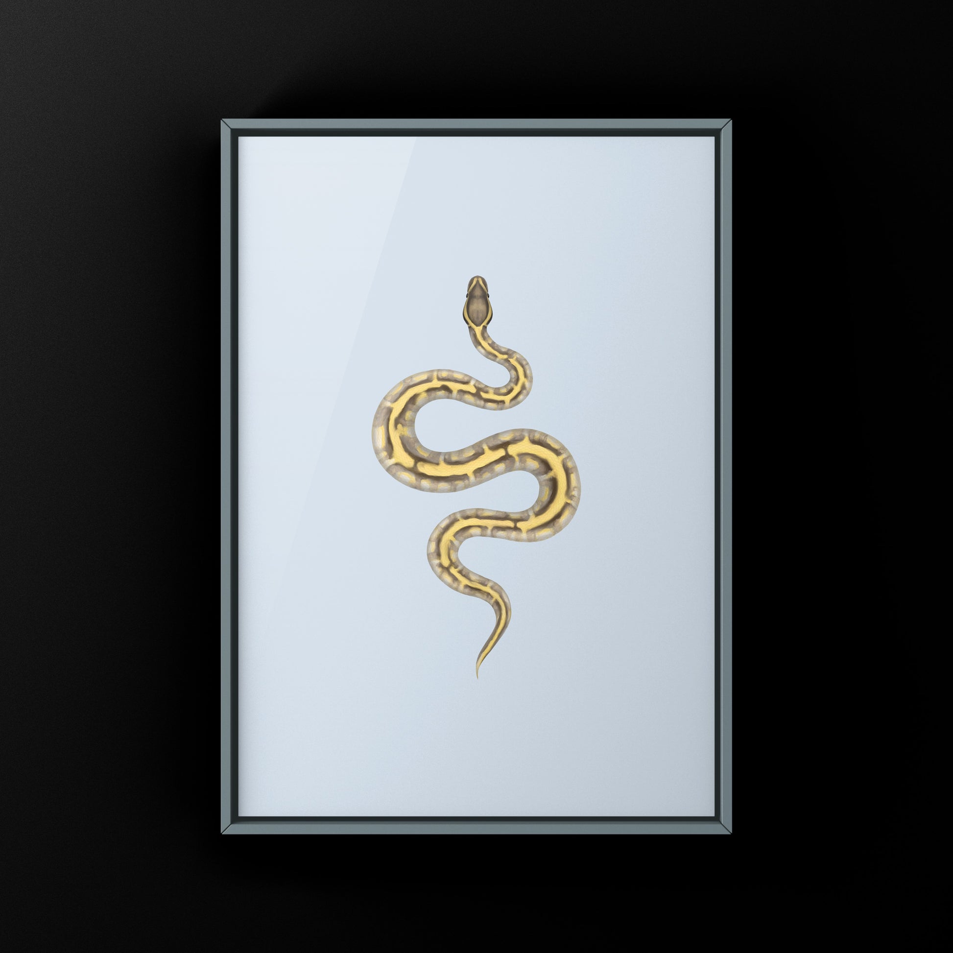 Enchi Lesser Calico Ball Python Art Print from The Silk Ranch