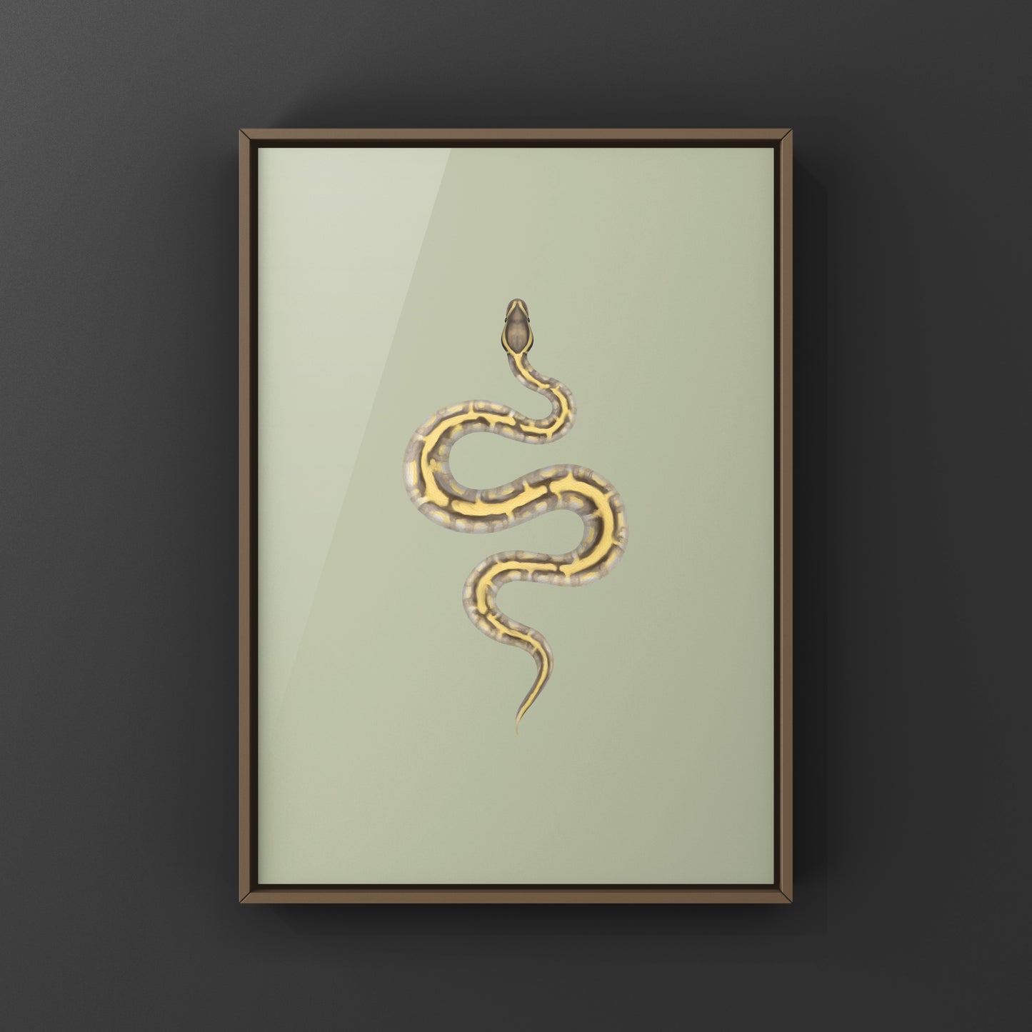 Enchi Lesser Calico Ball Python Art Print from The Silk Ranch