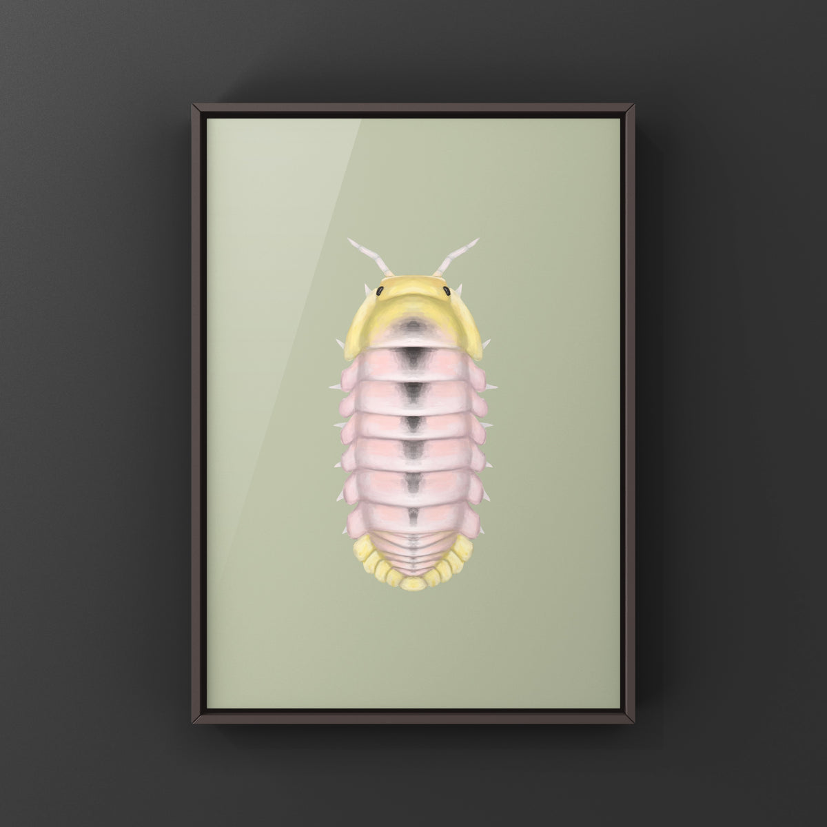 Albino Rubber Ducky Isopod Art Print (Cubaris sp. Rubber Ducky Albino) from The Silk Ranch