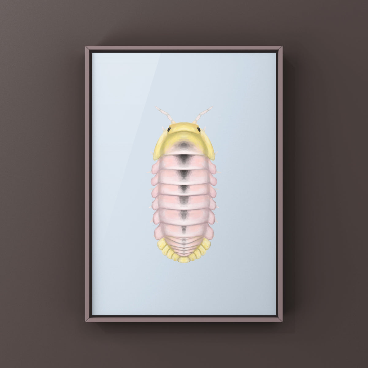 Albino Rubber Ducky Isopod Art Print (Cubaris sp. Rubber Ducky Albino) from The Silk Ranch