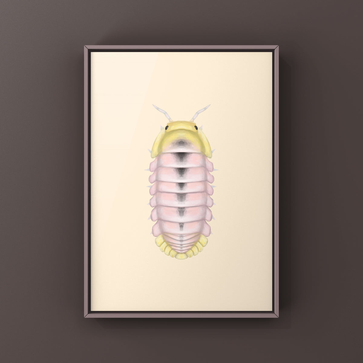 Albino Rubber Ducky Isopod Art Print (Cubaris sp. Rubber Ducky Albino) from The Silk Ranch