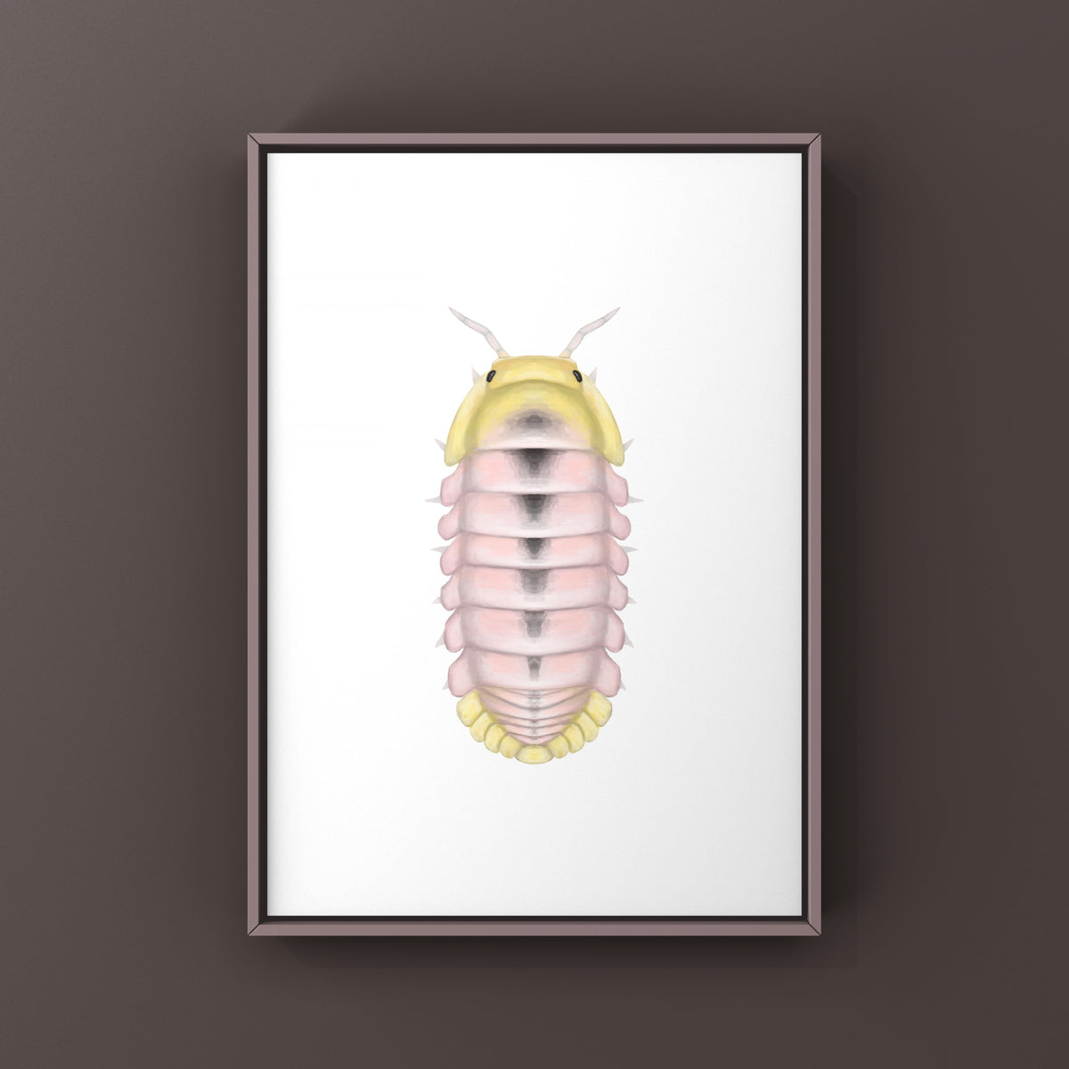 Albino Rubber Ducky Isopod Art Print (Cubaris sp. Rubber Ducky Albino) from The Silk Ranch