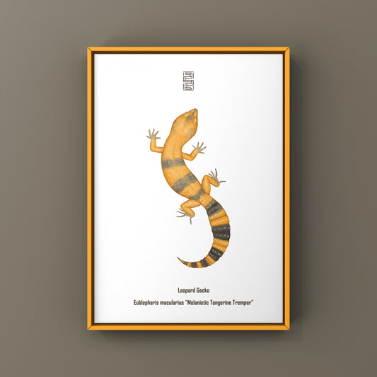 Melanistic Tangerine Tremper Leopard Gecko Art Print (Eublepharis macularius)