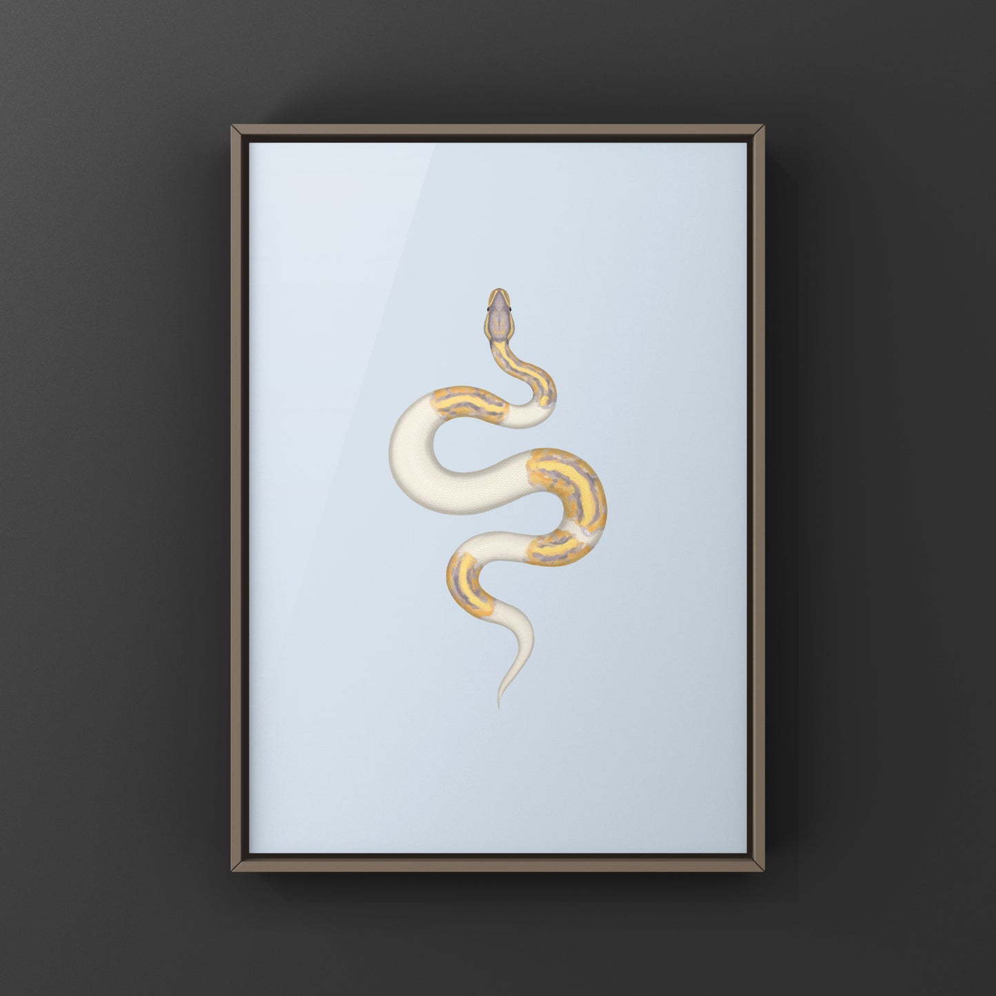 Banana Pied Ball Python Art Print from The Silk Ranch