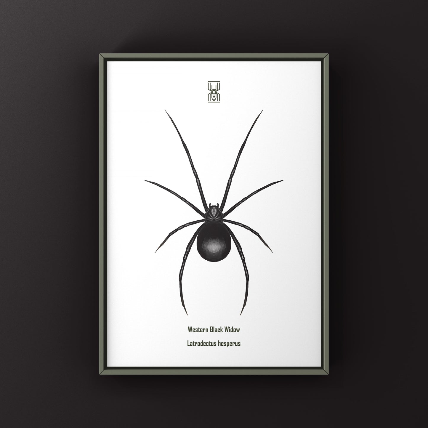 Western Black Widow (Latrodectus hesperus) Art Print