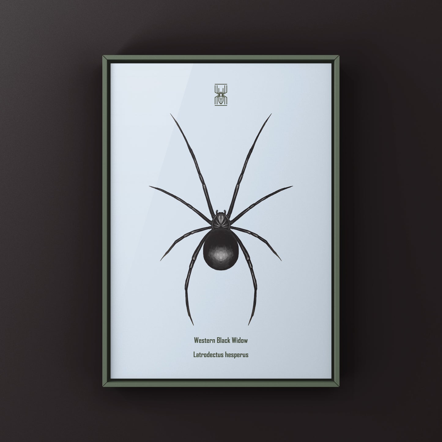 Western Black Widow (Latrodectus hesperus) Art Print