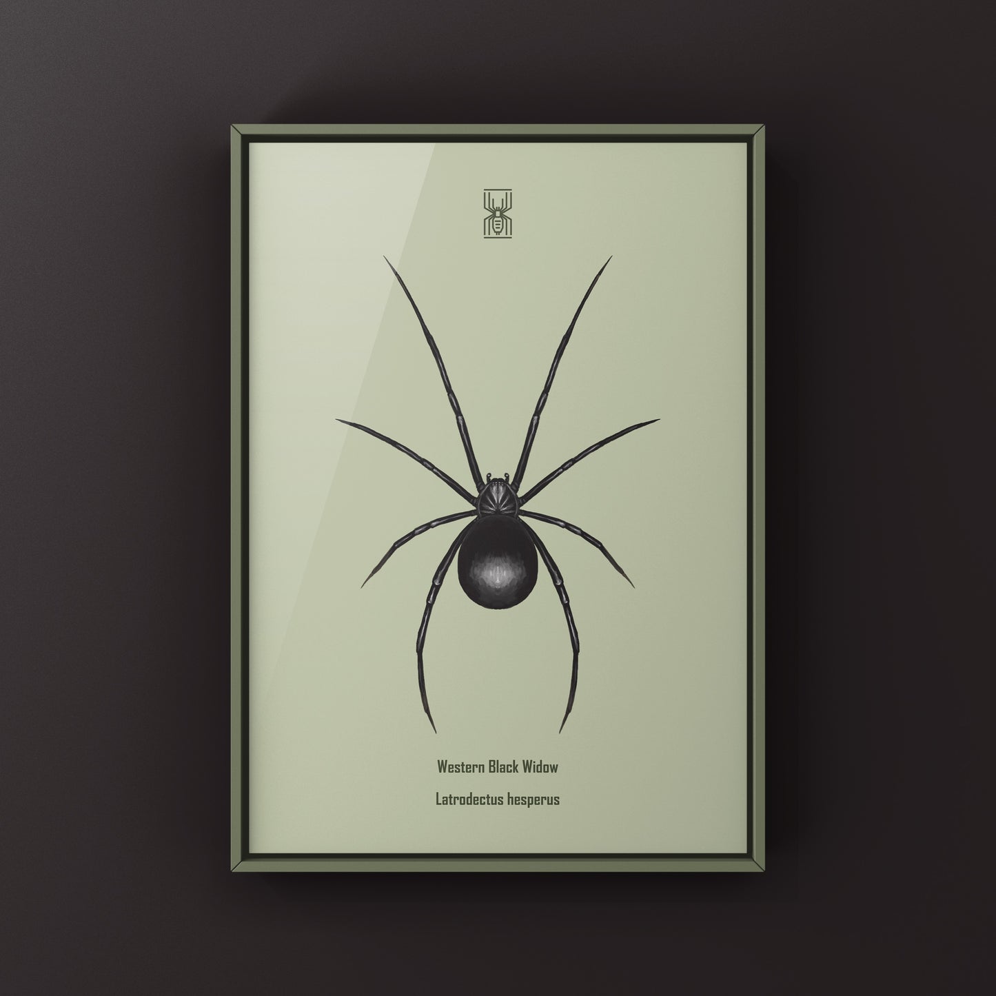 Western Black Widow (Latrodectus hesperus) Art Print