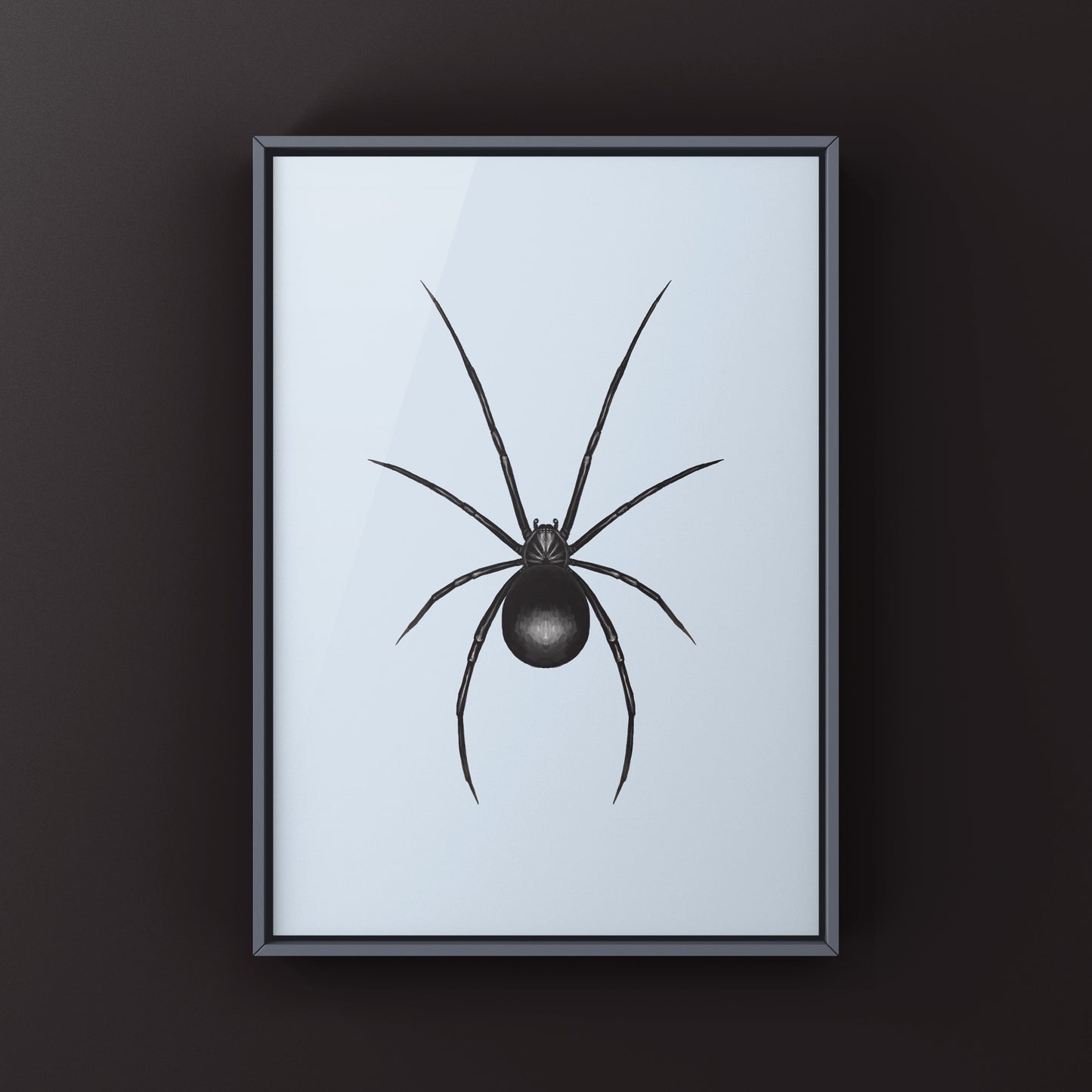 Western Black Widow (Latrodectus hesperus) Art Print