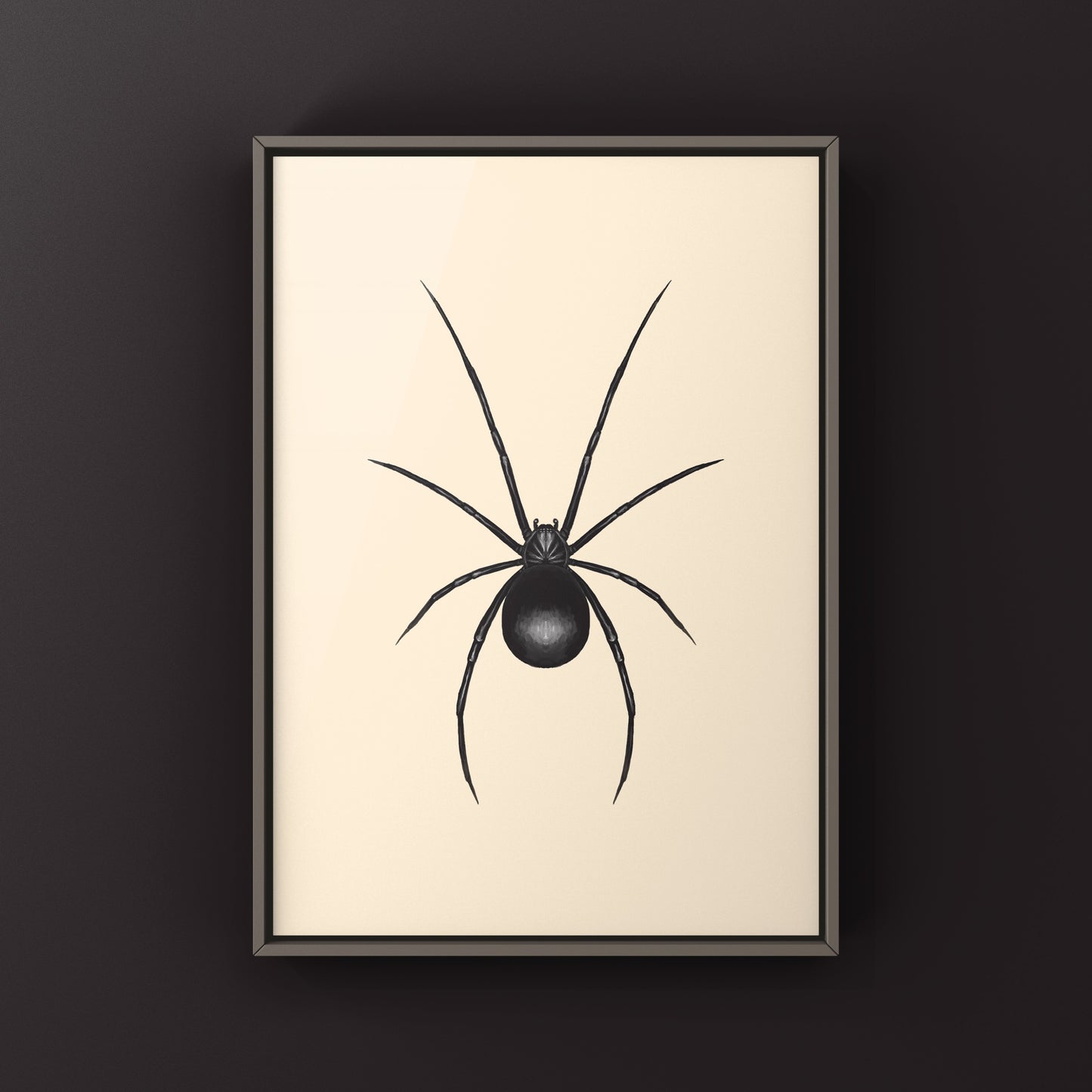 Western Black Widow (Latrodectus hesperus) Art Print