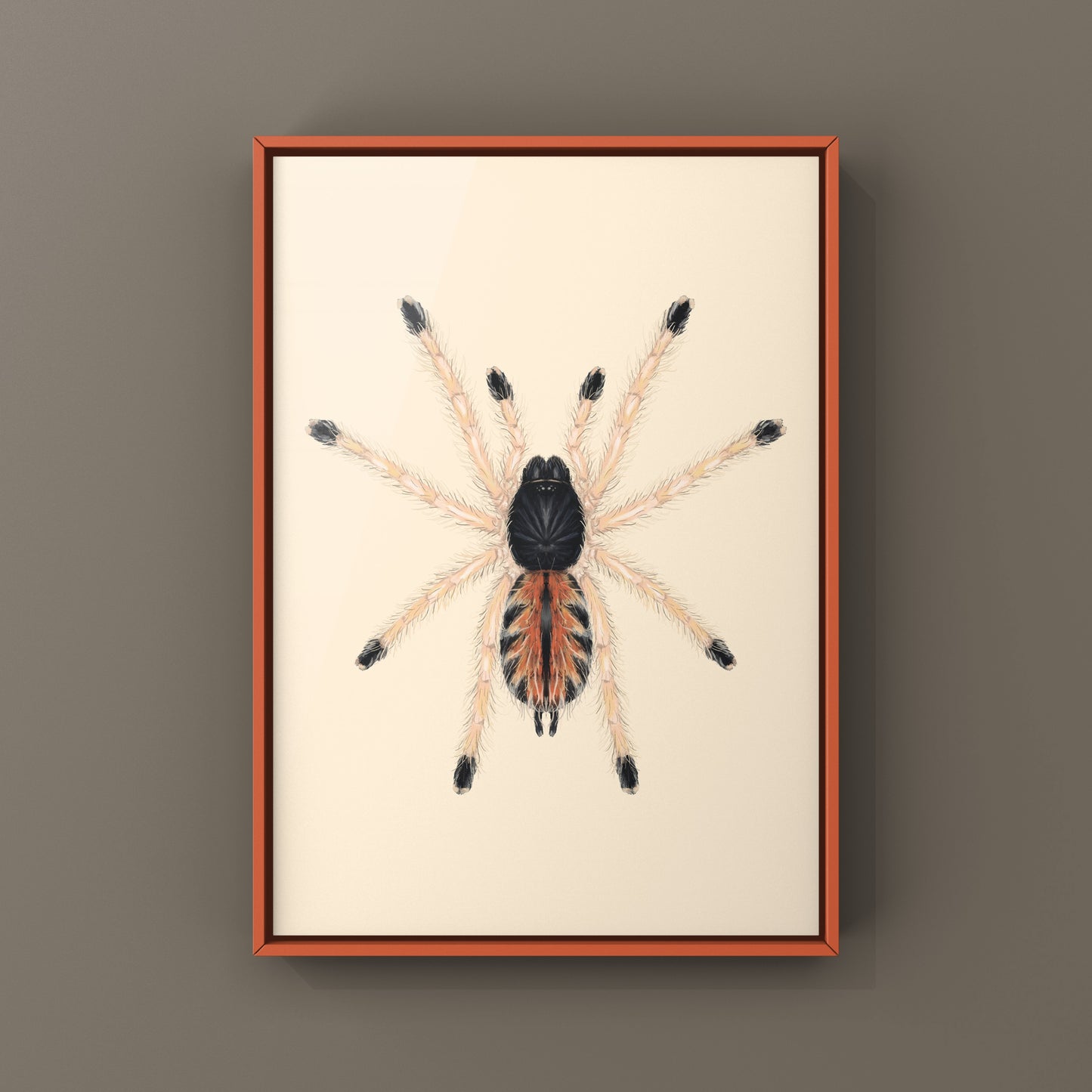 Guyana Pinktoe Tarantula Spiderling (Avicularia Avicularia) Art Print