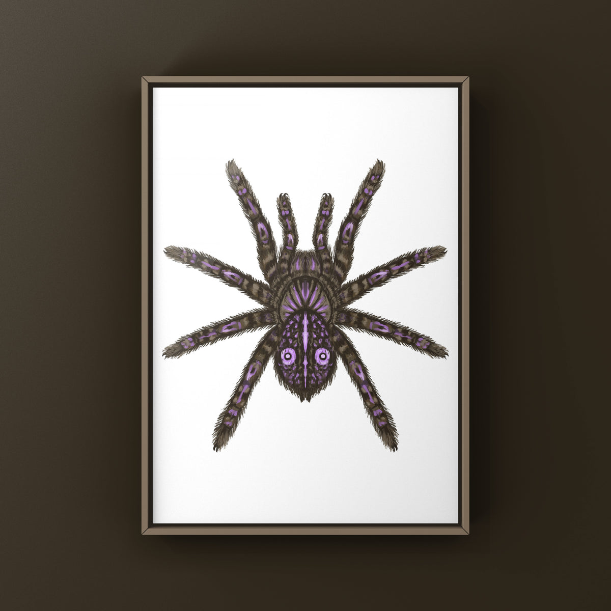 Congolese Giant Spider Art Print (Theraphosinae sp. J'ba FoFi) from The Silk Ranch
