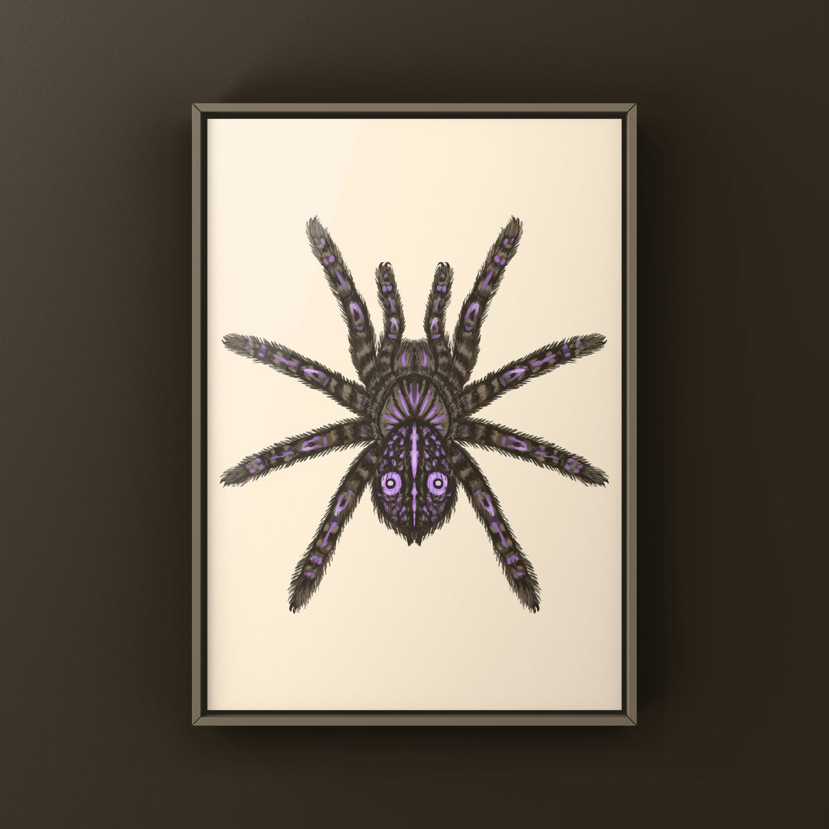 Congolese Giant Spider Art Print (Theraphosinae sp. J'ba FoFi) from The Silk Ranch