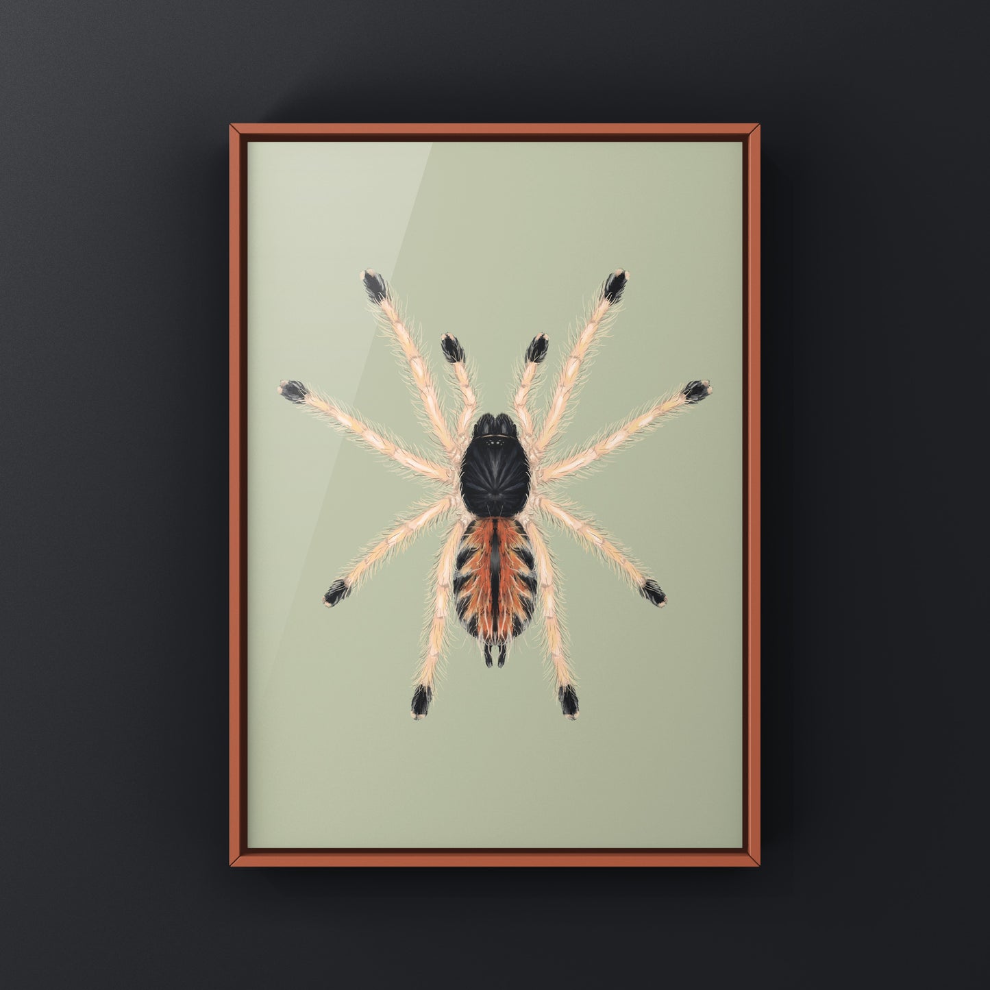 Guyana Pinktoe Tarantula Spiderling (Avicularia Avicularia) Art Print