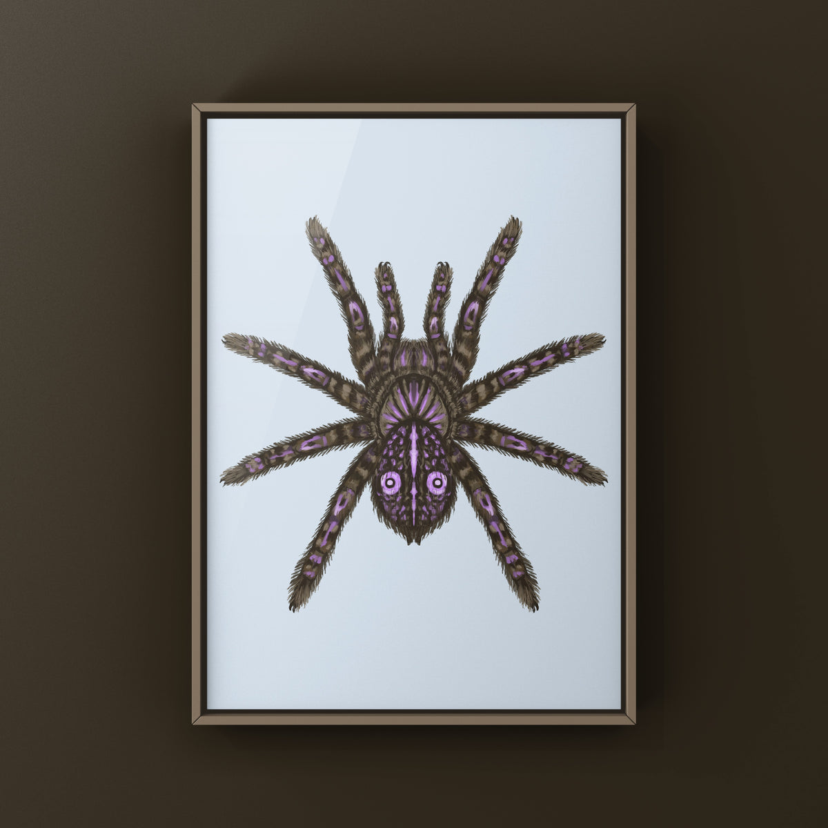 Congolese Giant Spider Art Print (Theraphosinae sp. J'ba FoFi) from The Silk Ranch