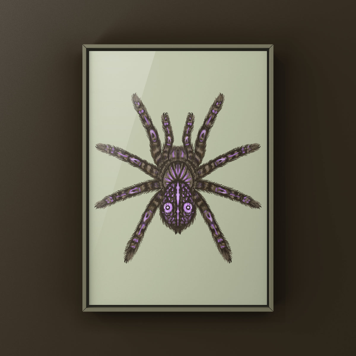 Congolese Giant Spider Art Print (Theraphosinae sp. J'ba FoFi) from The Silk Ranch