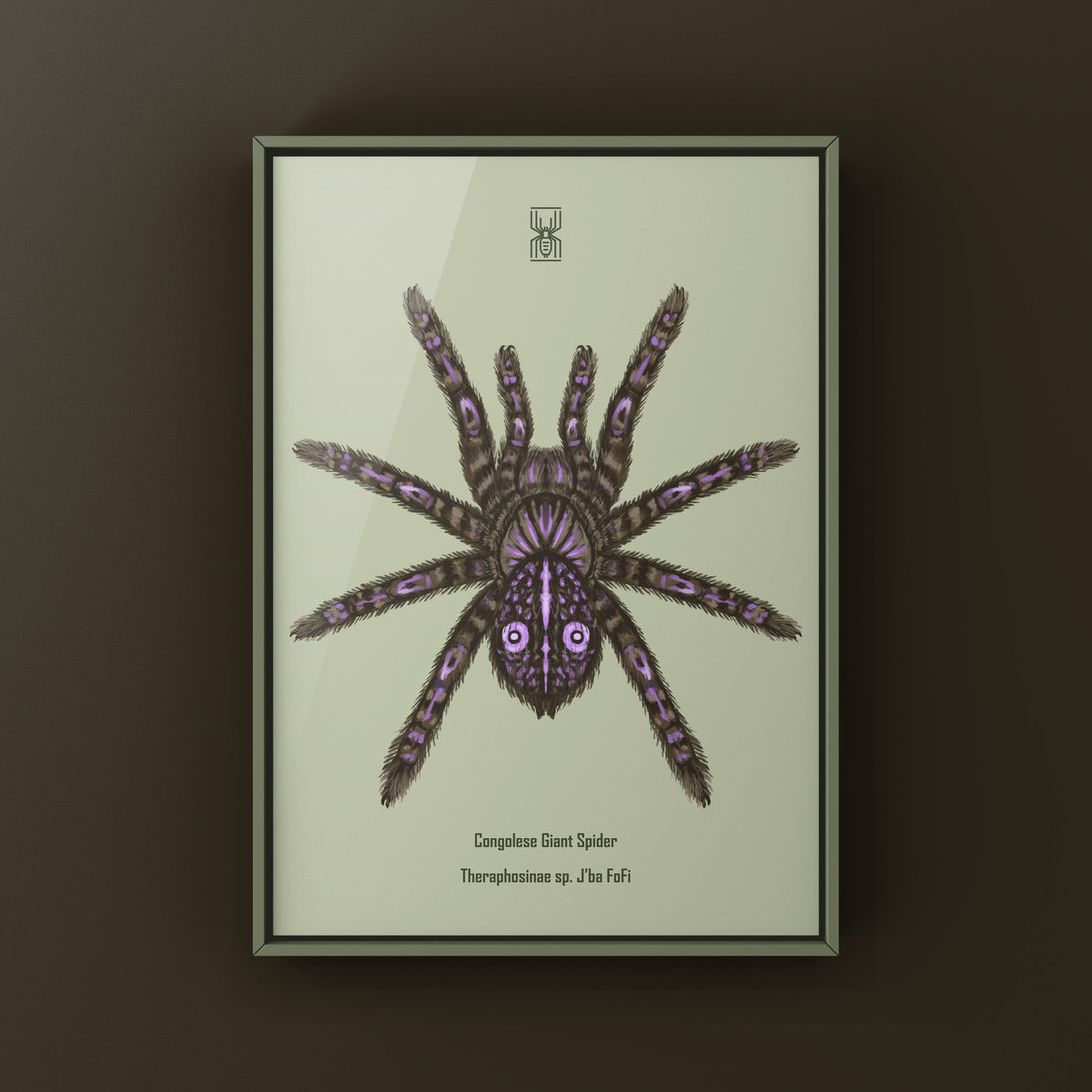 Congolese Giant Spider Art Print (Theraphosinae sp. J'ba FoFi) from The Silk Ranch