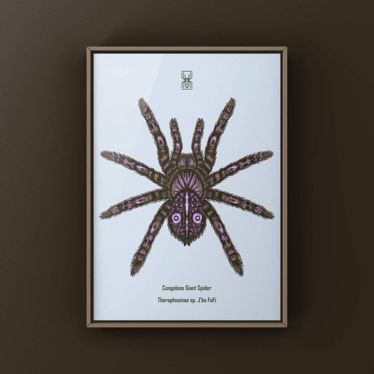 Congolese Giant Spider Art Print (Theraphosinae sp. J'ba FoFi) from The Silk Ranch